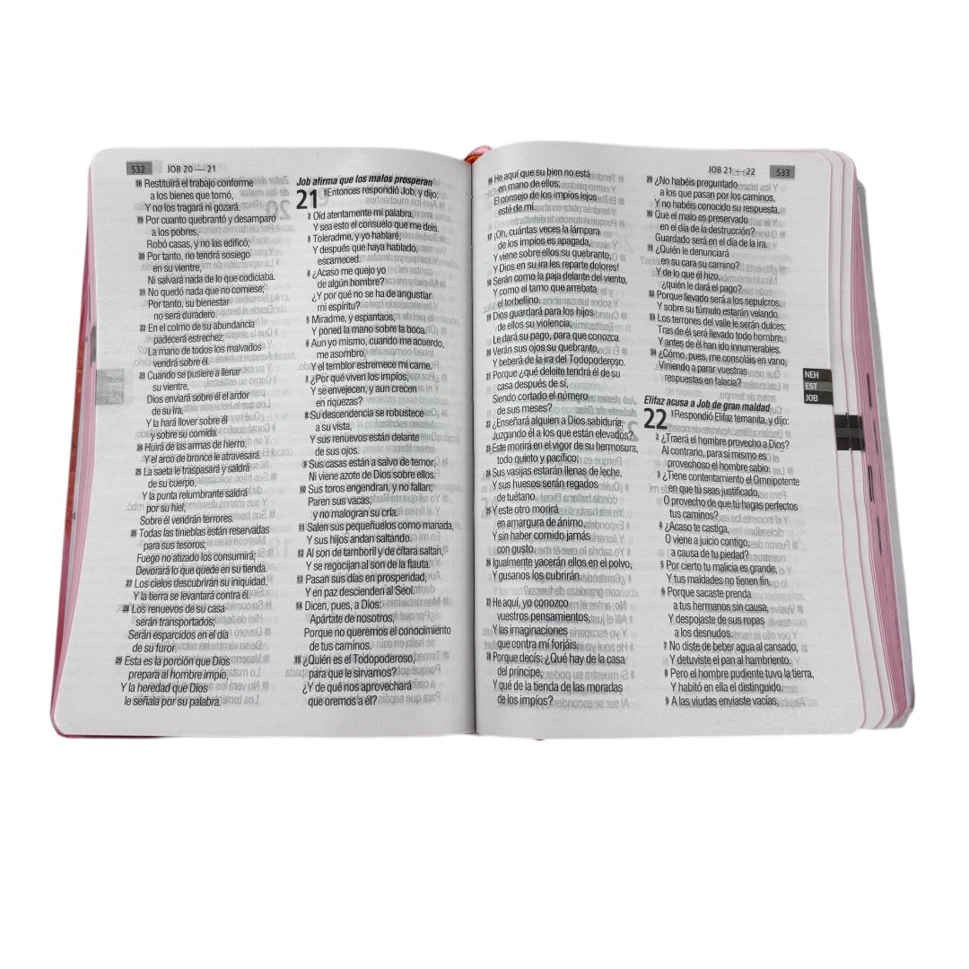 BIBLIA REINA VALERA 1960 LETRA GRANDE SEMIFLEXIBLE FLOR ROSA