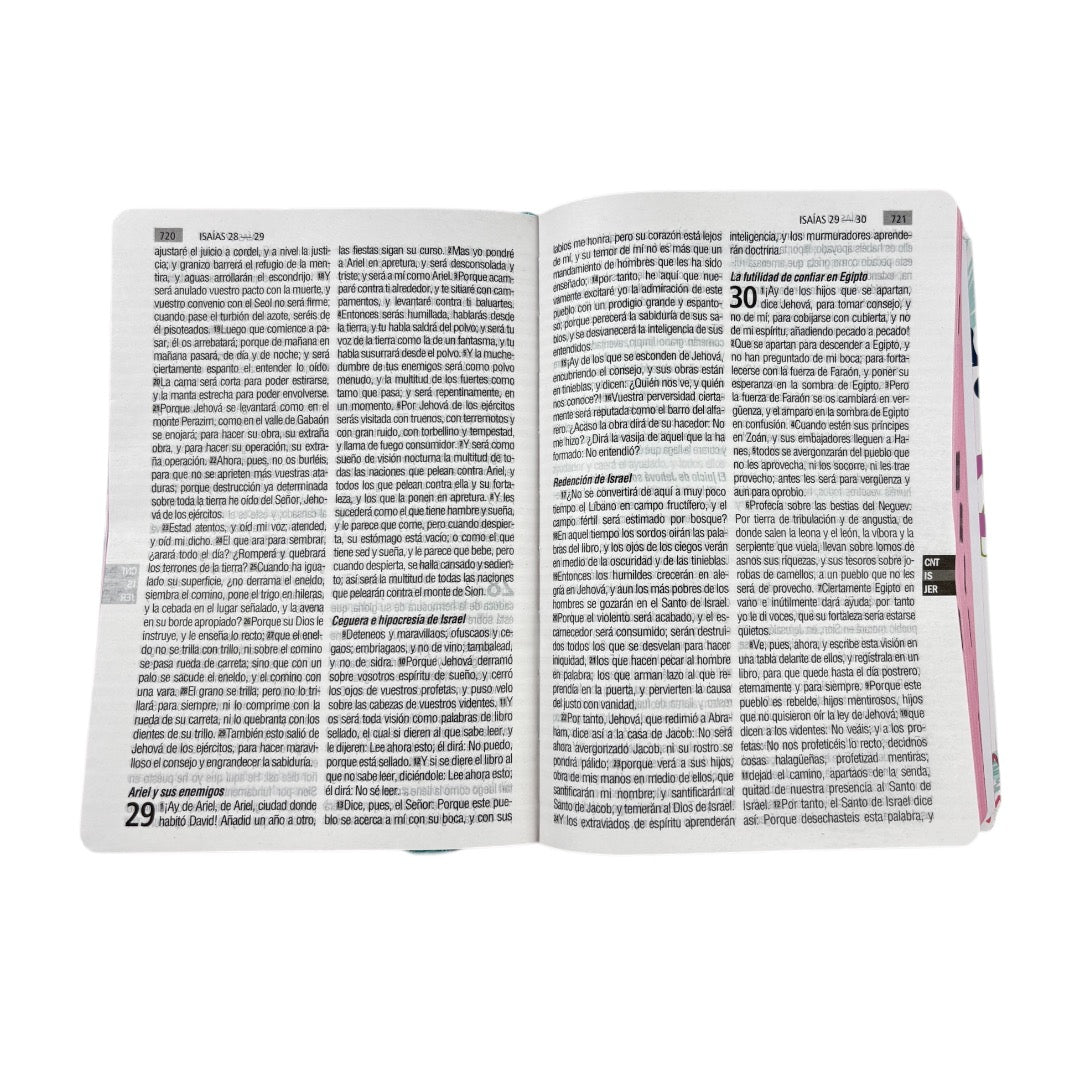 BIBLIA REINA VALERA 1960 LETRA GRANDE SEMIFLEXIBLE BLANCA FLORES