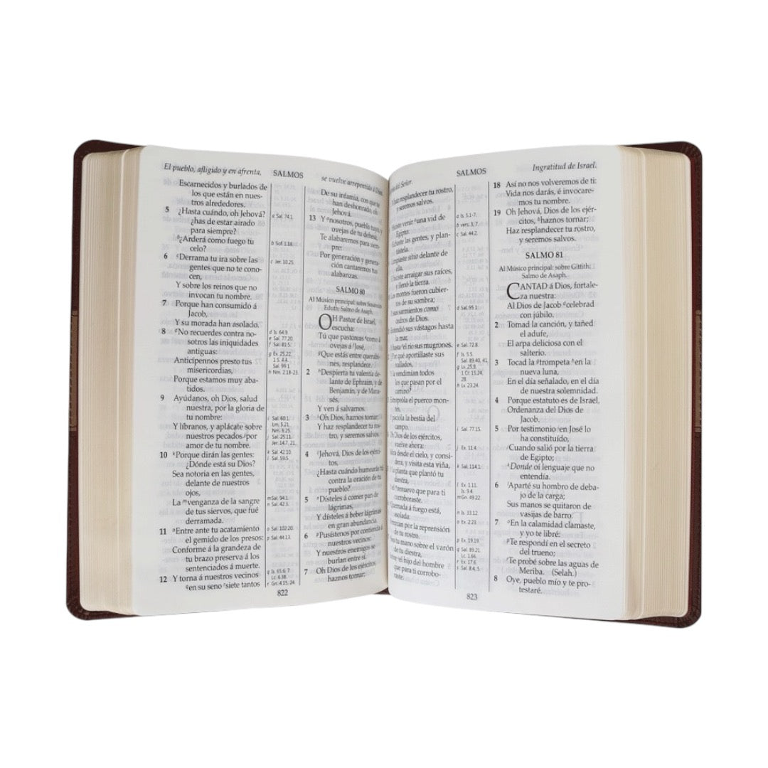 BIBLIA ANTIGUA VERSION 1909 LETRA GRANDE IMIT PIEL CAFE