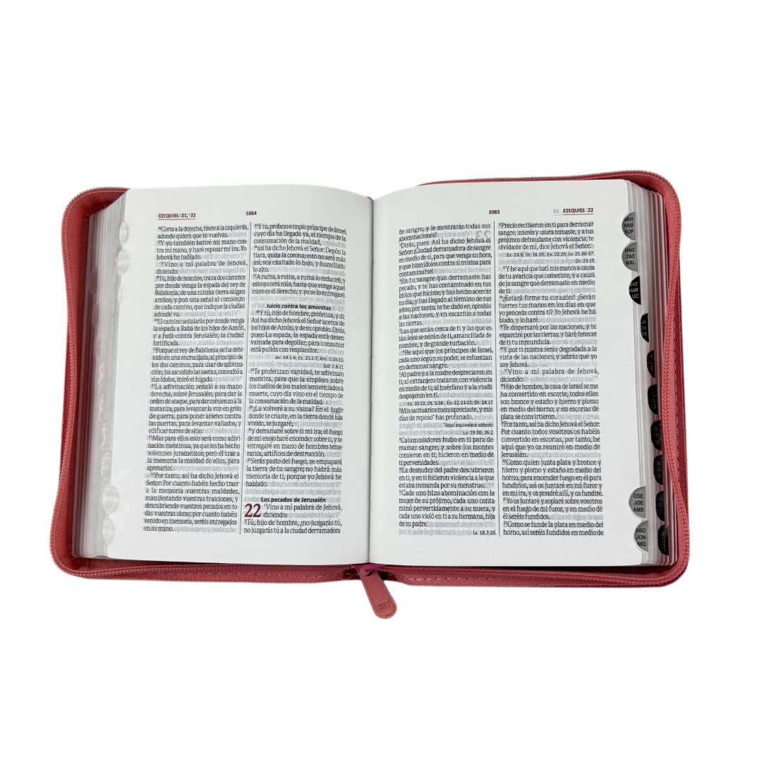 BIBLIA REINA VALERA 1960 COMPACTA FUCSIA CANTO PLATEADO