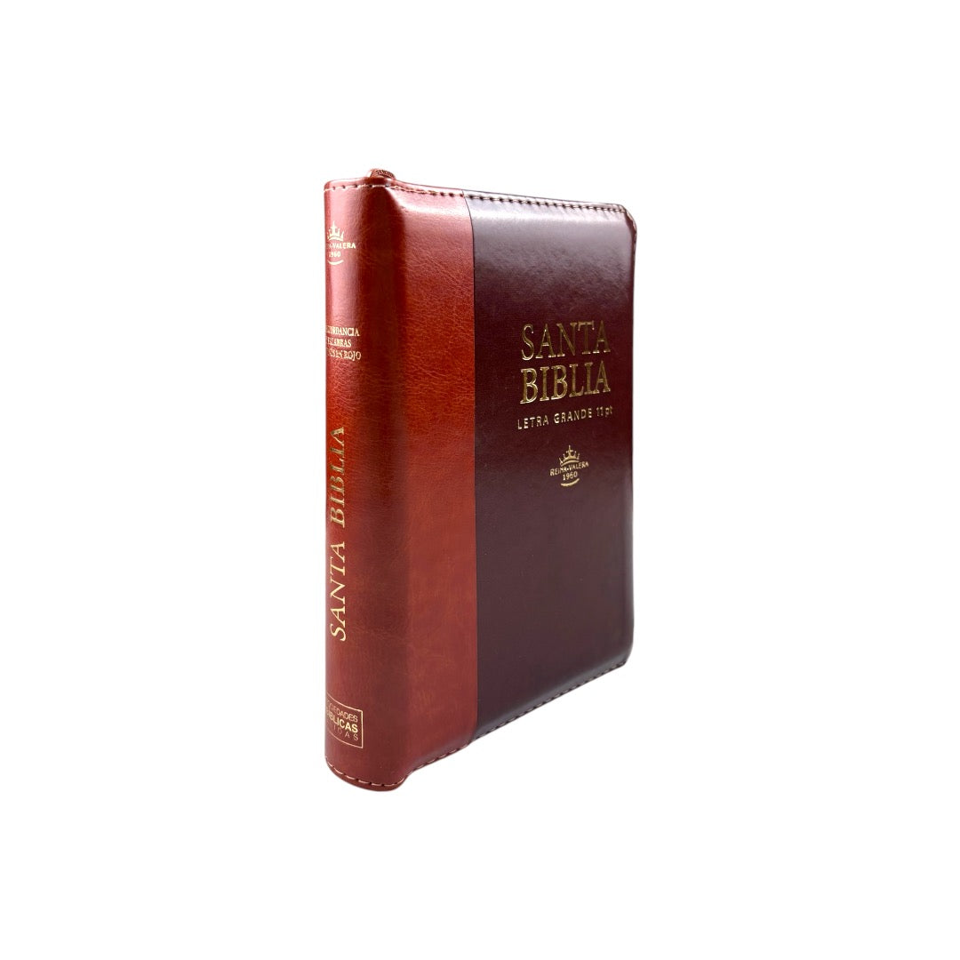 BIBLIA REINA VALERA 1960 COMPACTA LETRA GRANDE/ DUOTONO MARRON