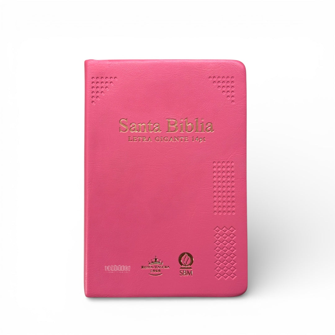 BIBLIA REINA VALERA 1960 MEDIANA LETRA GIGANTE VINIL Rosa