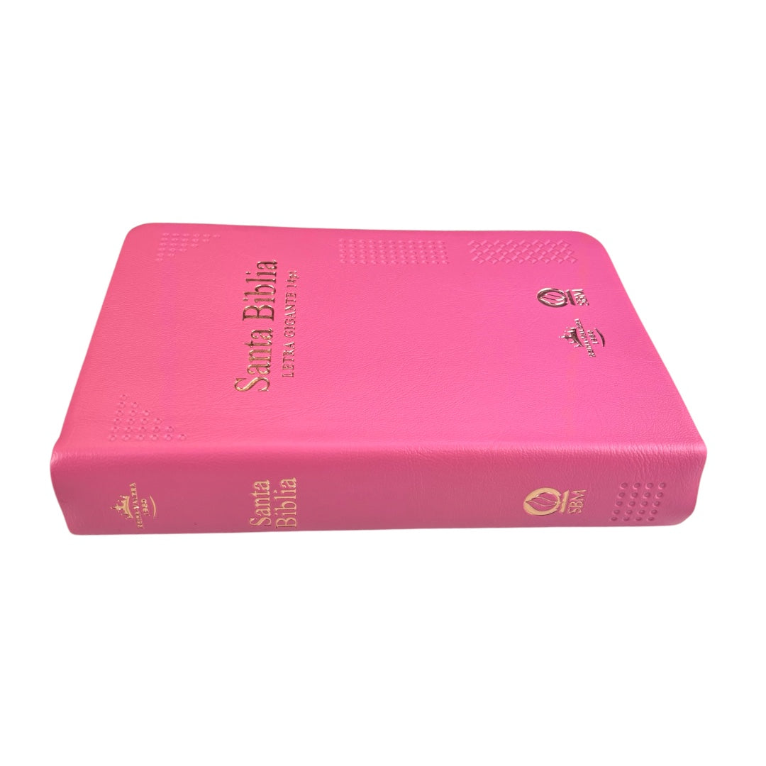 BIBLIA REINA VALERA 1960 MEDIANA LETRA GIGANTE VINIL