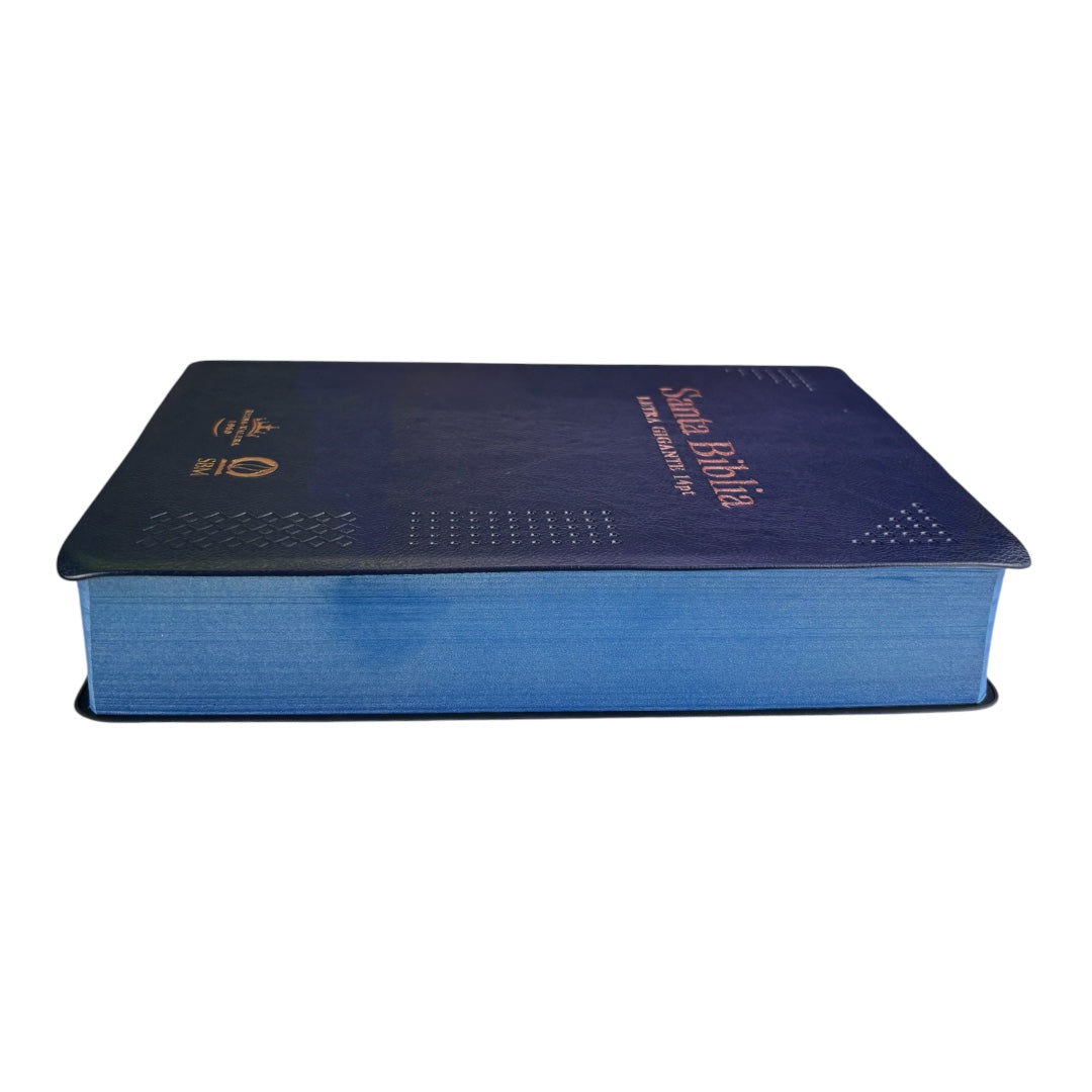 BIBLIA REINA VALERA 1960 MEDIANA LETRA GIGANTE VINIL