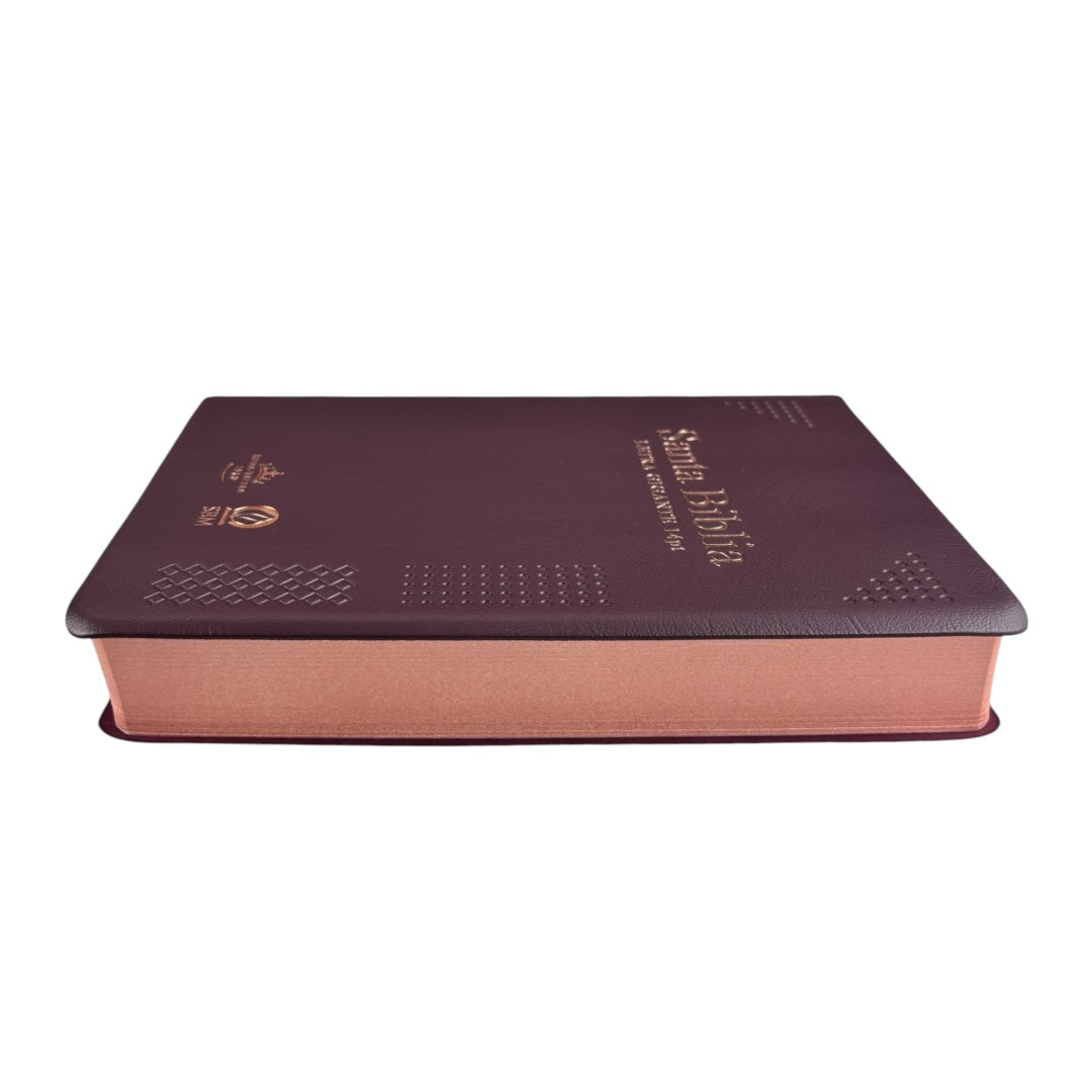 BIBLIA REINA VALERA 1960 MEDIANA LETRA GIGANTE VINIL