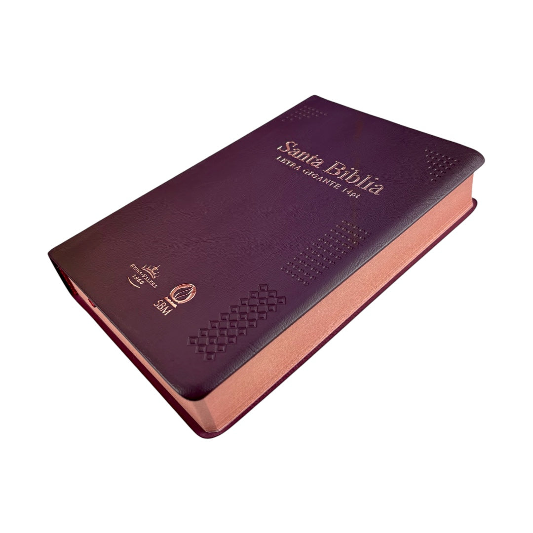 BIBLIA REINA VALERA 1960 MEDIANA LETRA GIGANTE VINIL