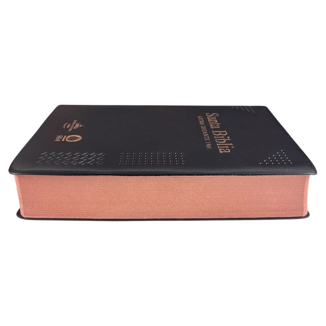 BIBLIA REINA VALERA 1960 MEDIANA LETRA GIGANTE VINIL