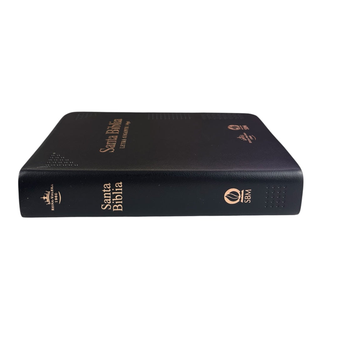 BIBLIA REINA VALERA 1960 MEDIANA LETRA GIGANTE VINIL