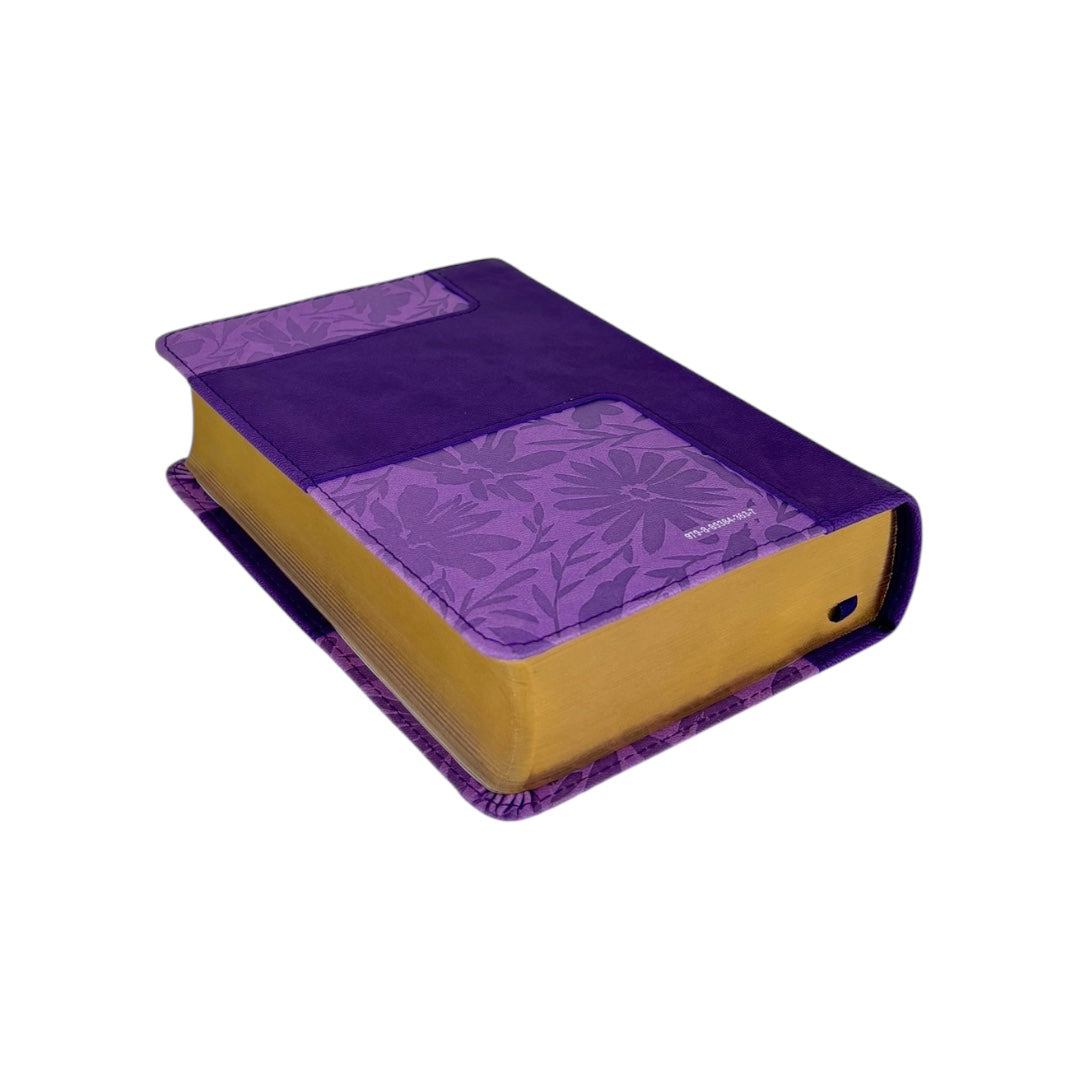 BIBLIA REINA VALERA 1960 TAMAÑO COMPACTO IMIT PIEL LILA CANTO DORADO