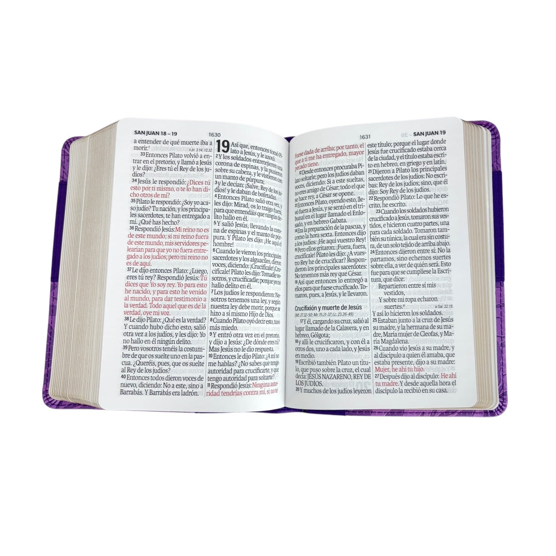BIBLIA REINA VALERA 1960 TAMAÑO COMPACTO IMIT PIEL LILA CANTO DORADO
