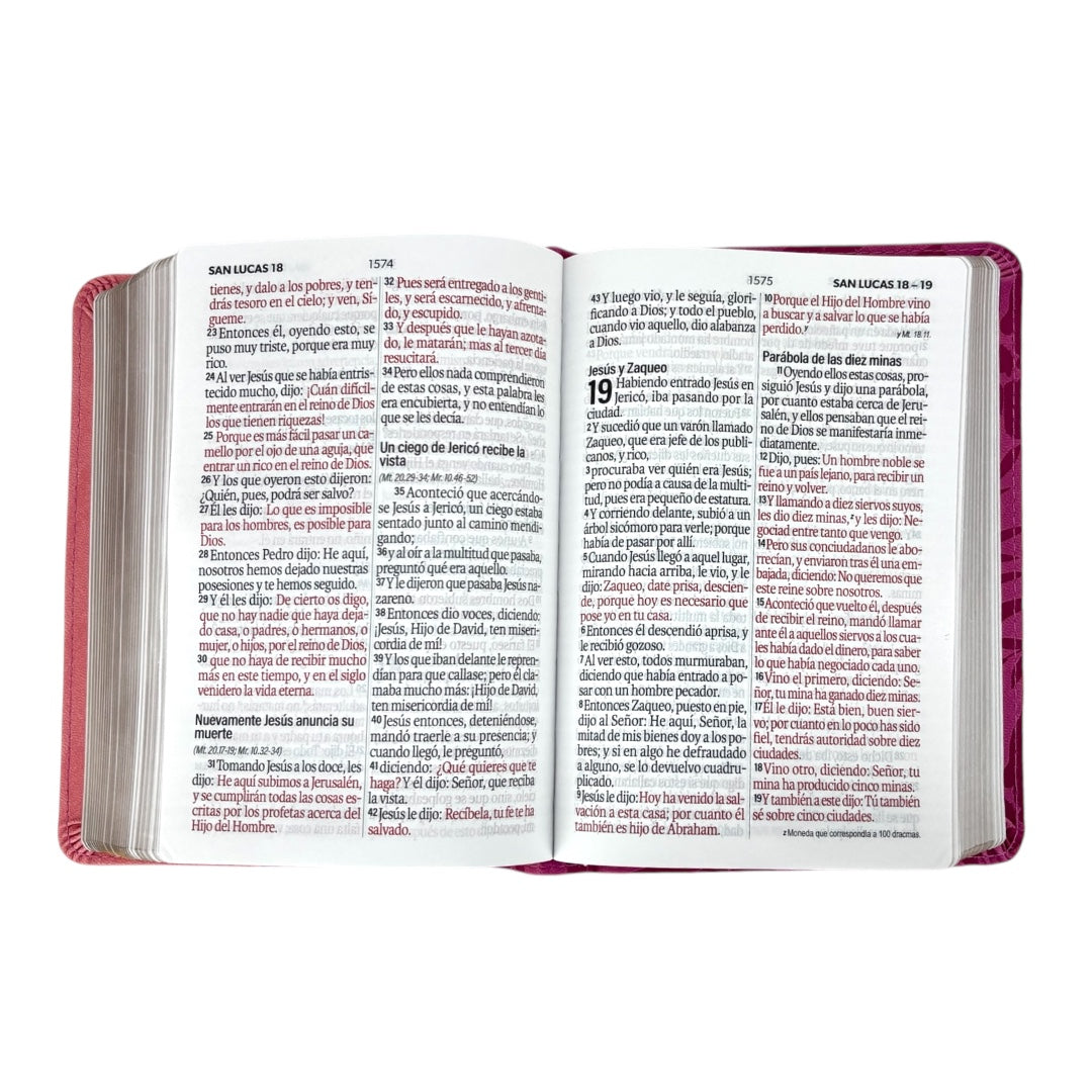 BIBLIA REINA VALERA 1960 TAMAÑO COMPACTA LETRA GRANDE IMIT PIEL BICOLOR ROSA/ROSA