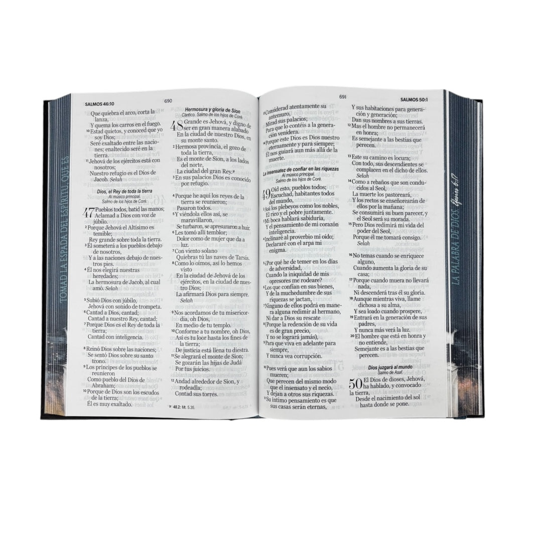 BIBLIA REINA VALERA 1960 TAMAÑO MANUAL LETRA GRANDE TAPA DURA C/ELASTICO DISEÑO ESPADA