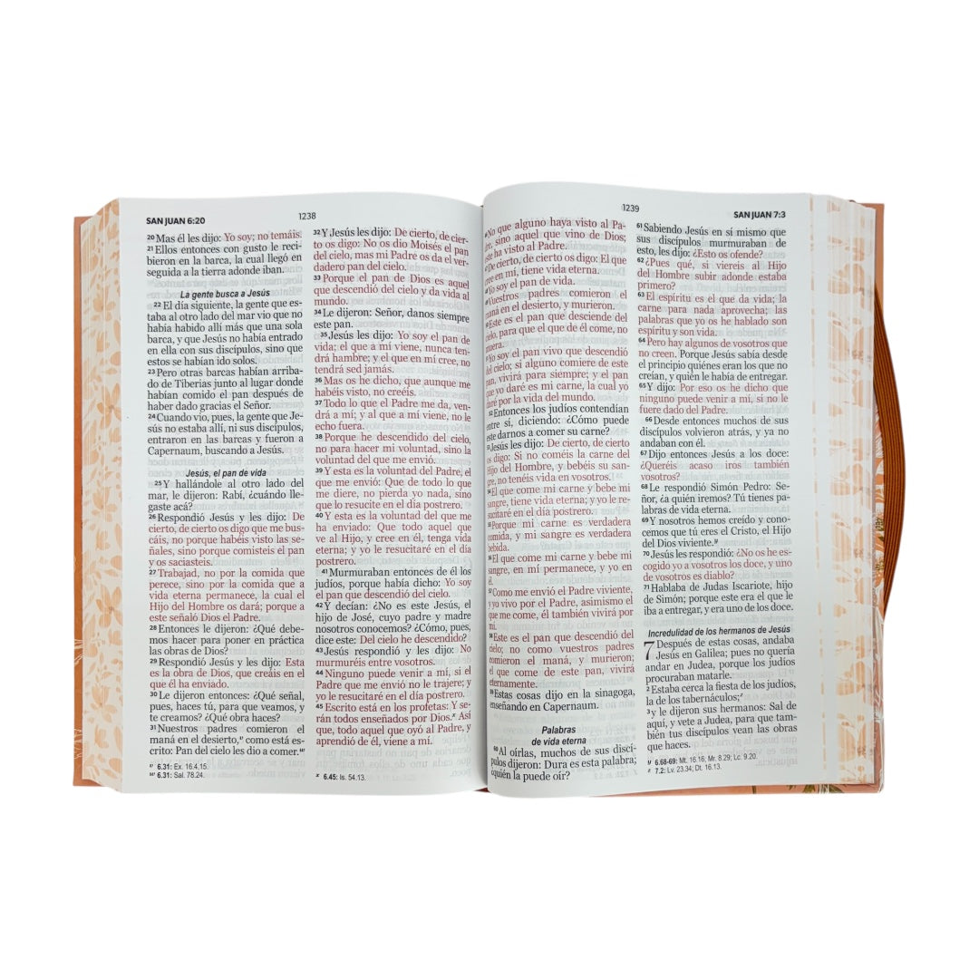 BIBLIA REINA VALERA 1960 TAMAÑO MANUAL  LETRA GRANDE CANTO PINTADO CORAL /C ELASTICO