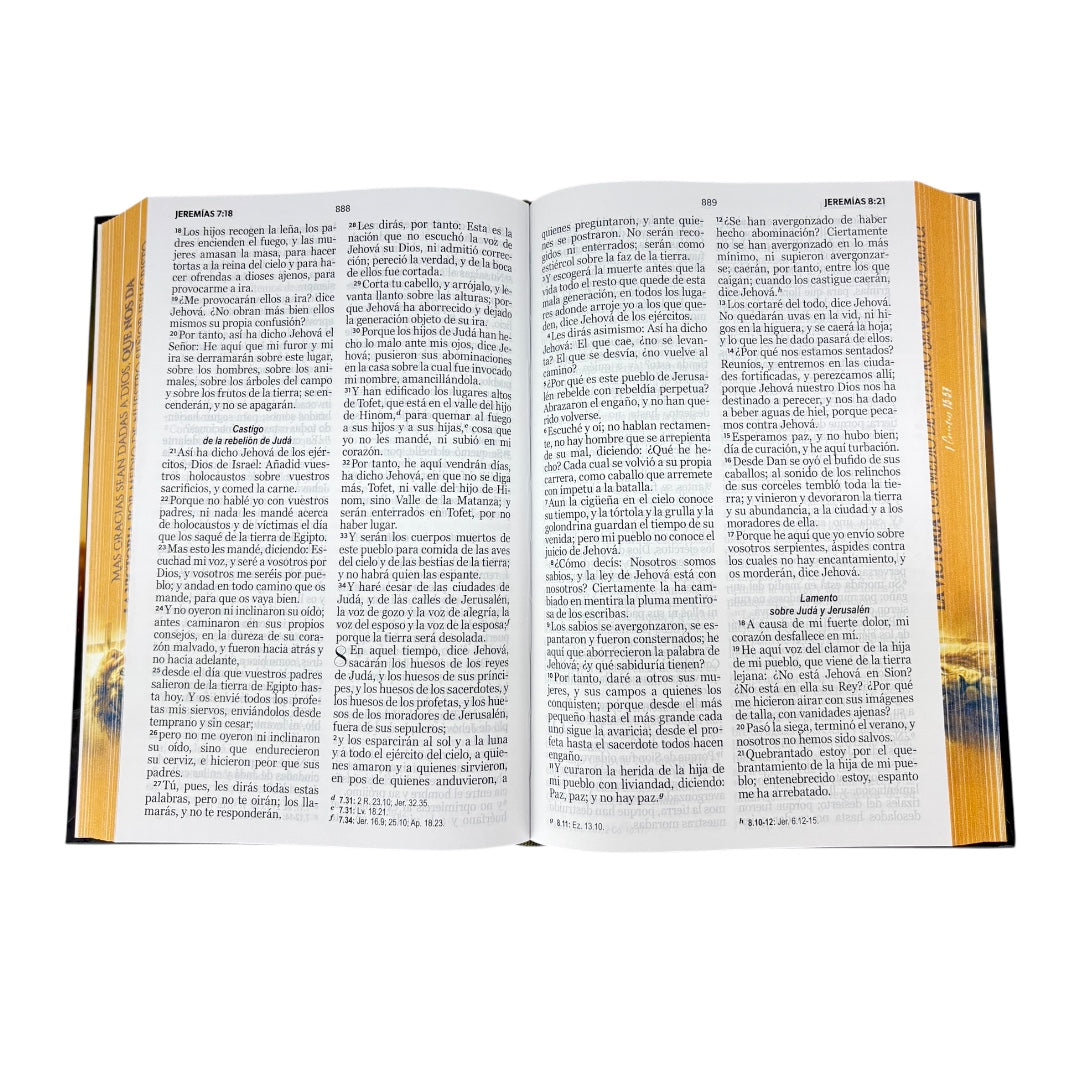 BIBLIA REINA VALERA 1960 LETRA GRANDE TAMAÑO MANUAL TAPA DURA LEÓN VICTORIA C/ELASTICO