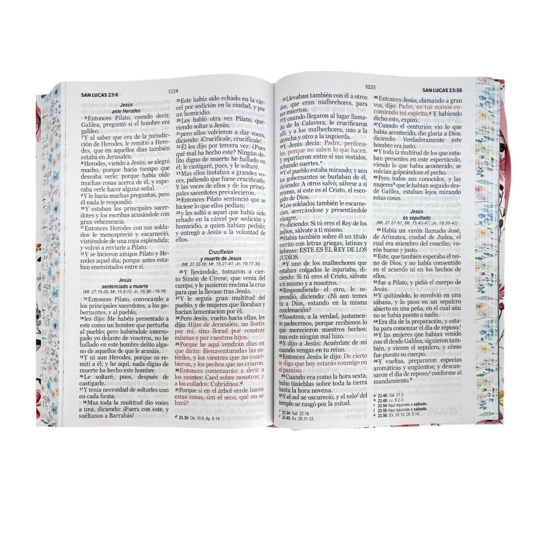 BIBLIA REINA VALERA 1960 LETRA GRANDE  TAPA DURA PRIMAVERA BLANCA C/ELASTICO