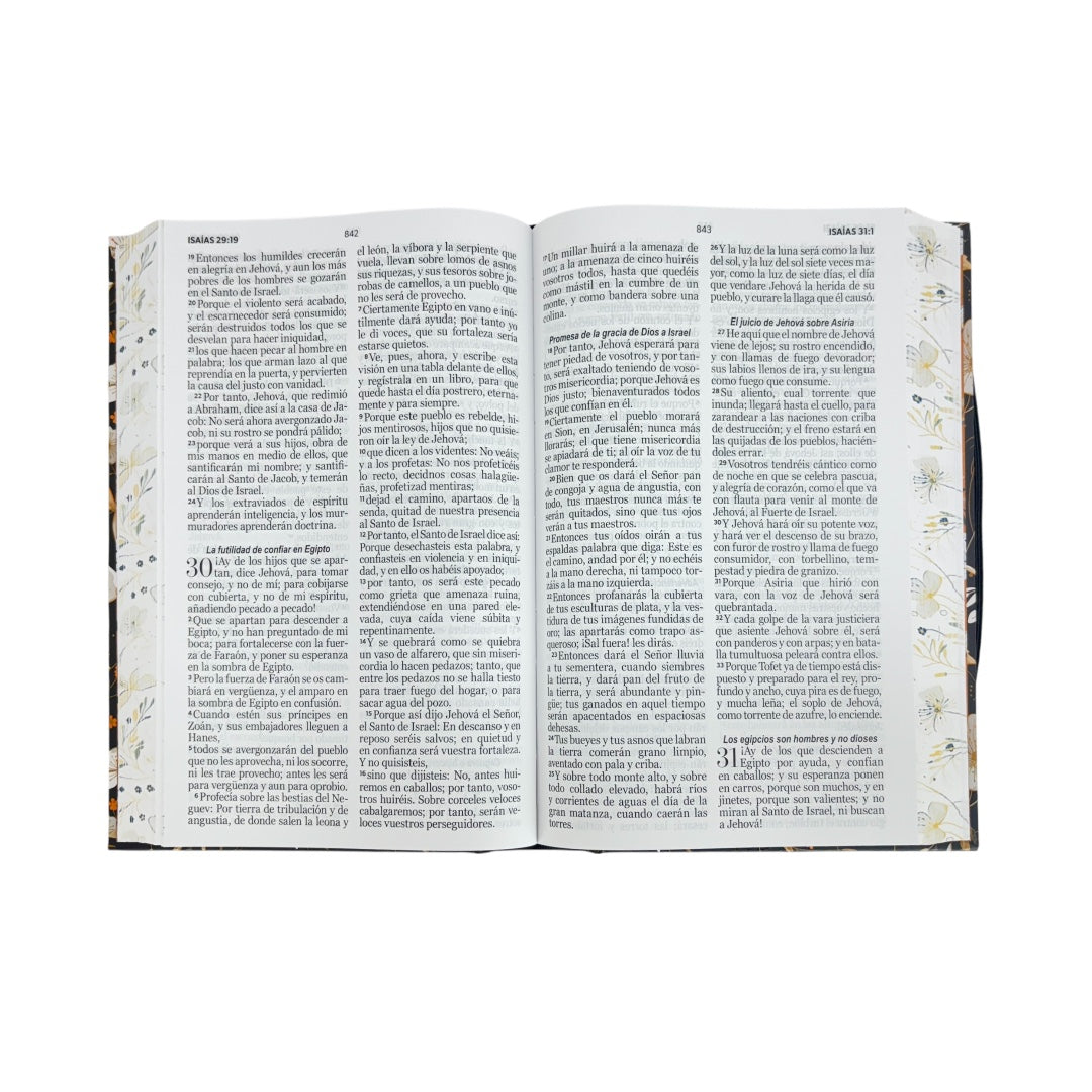 BIBLIA REINA VALERA 1960 TAMAÑO MANUAL LETRA GRANDE TAPA DURA PRIMAVERA NEGRA C/ELASTICO