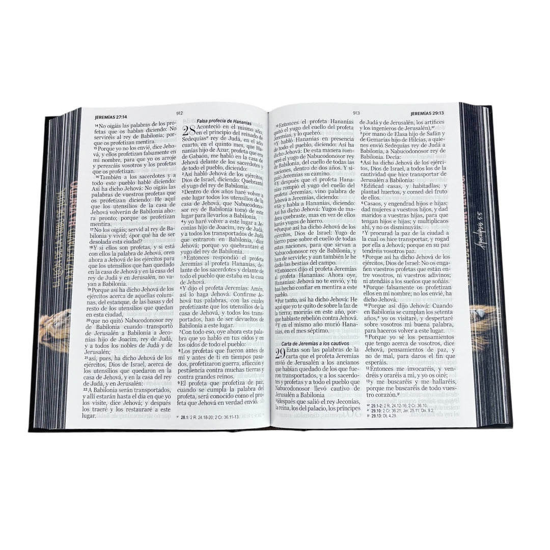 BIBLIA REINA VALERA 1960 LETRA GRANDE TAMAÑO MANUAL TAPA DURA LEÓN DE JUDÁ C/ELASTICO