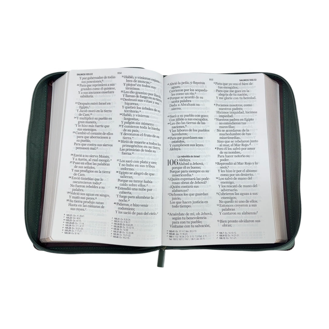 BIBLIA REINA VALERA 1960 LETRA GIGANTE MANUAL C/CIERRE OLIVO