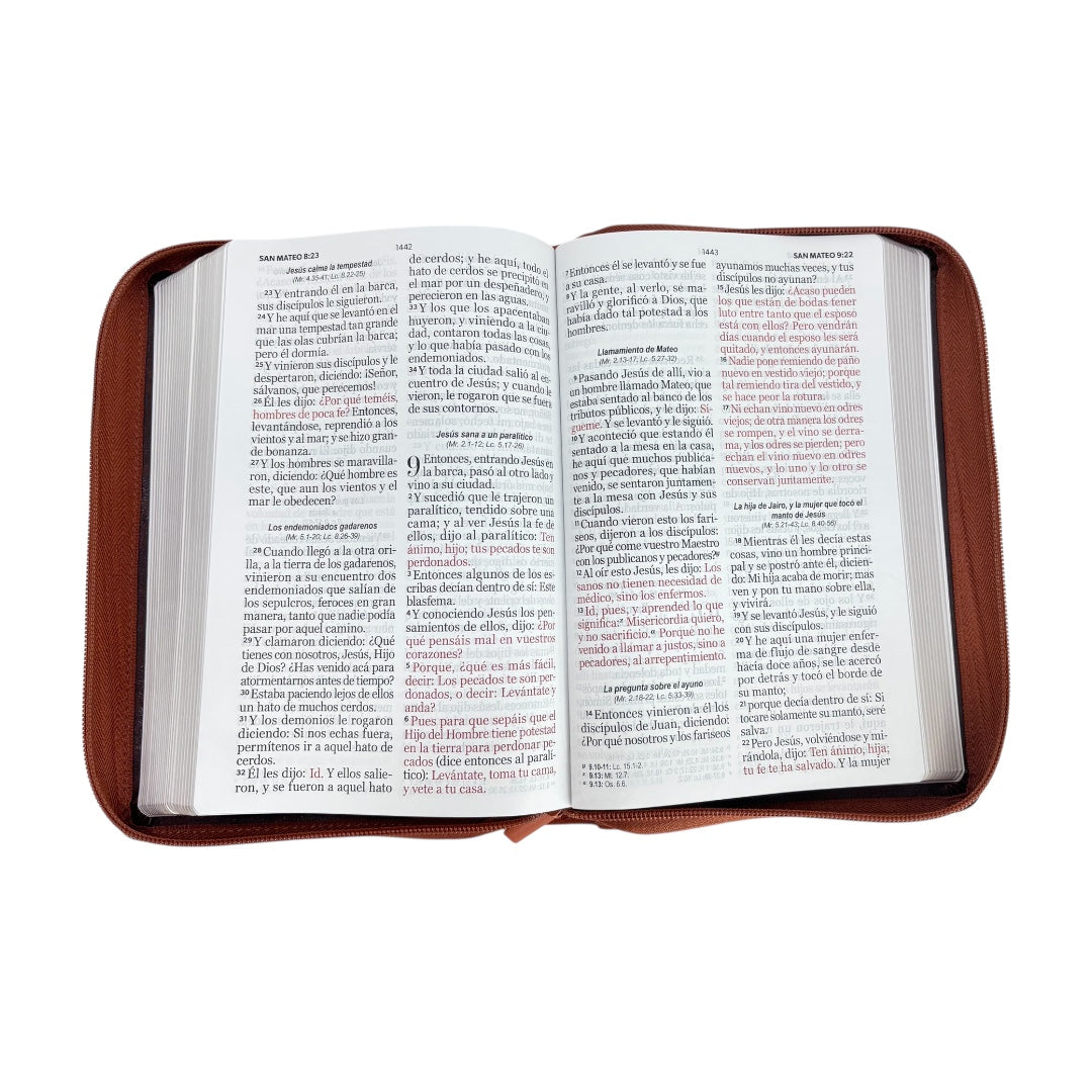 BIBLIA RVR 1960 LETRA GIGANTE IMIT PIEL CANTO DORADO C/ CIERRE CAFE LEÓN