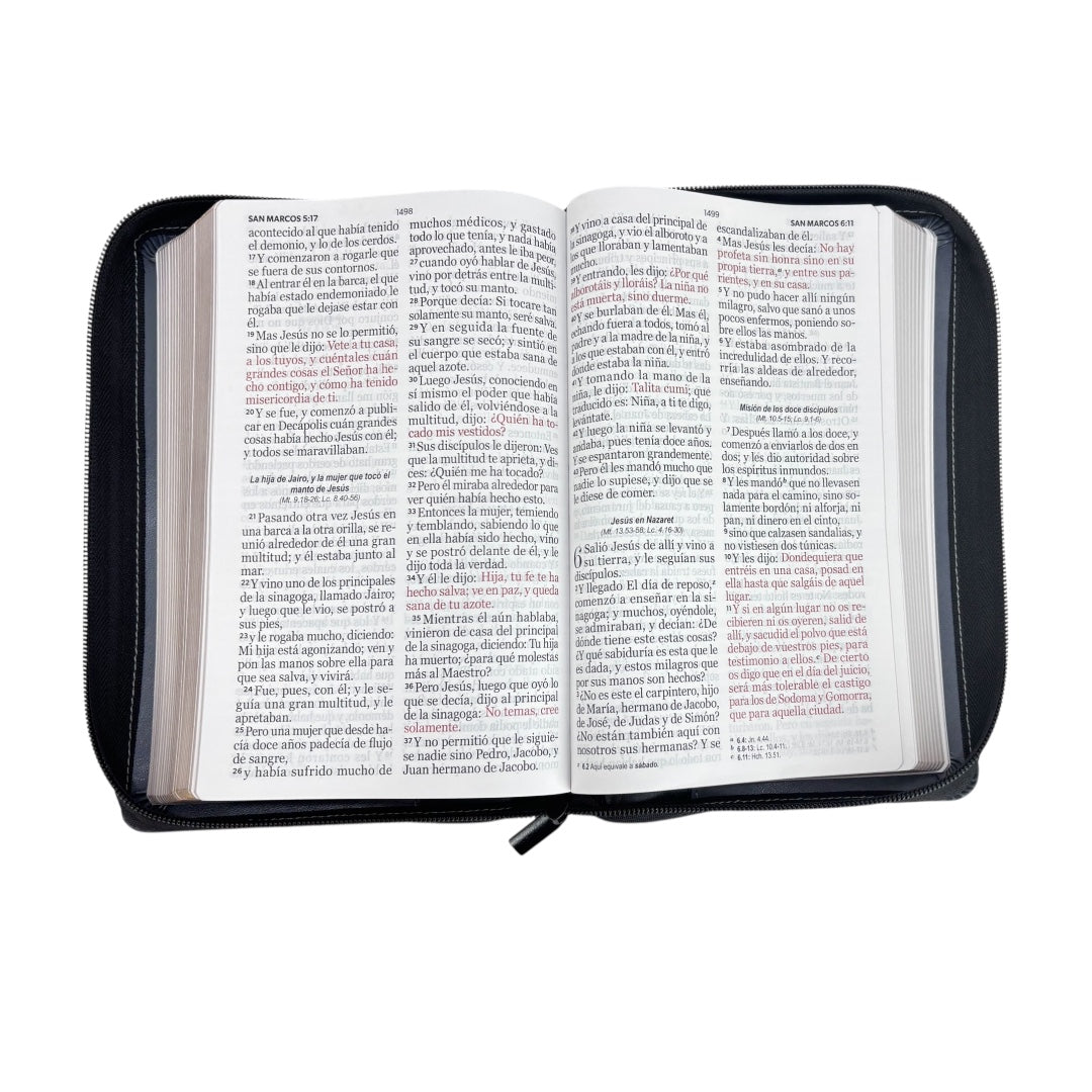 BIBLIA RVR 1960 LETRA GIGANTE MANUAL GRIS/ NEGRO CIERRE "ESFORZAOS "