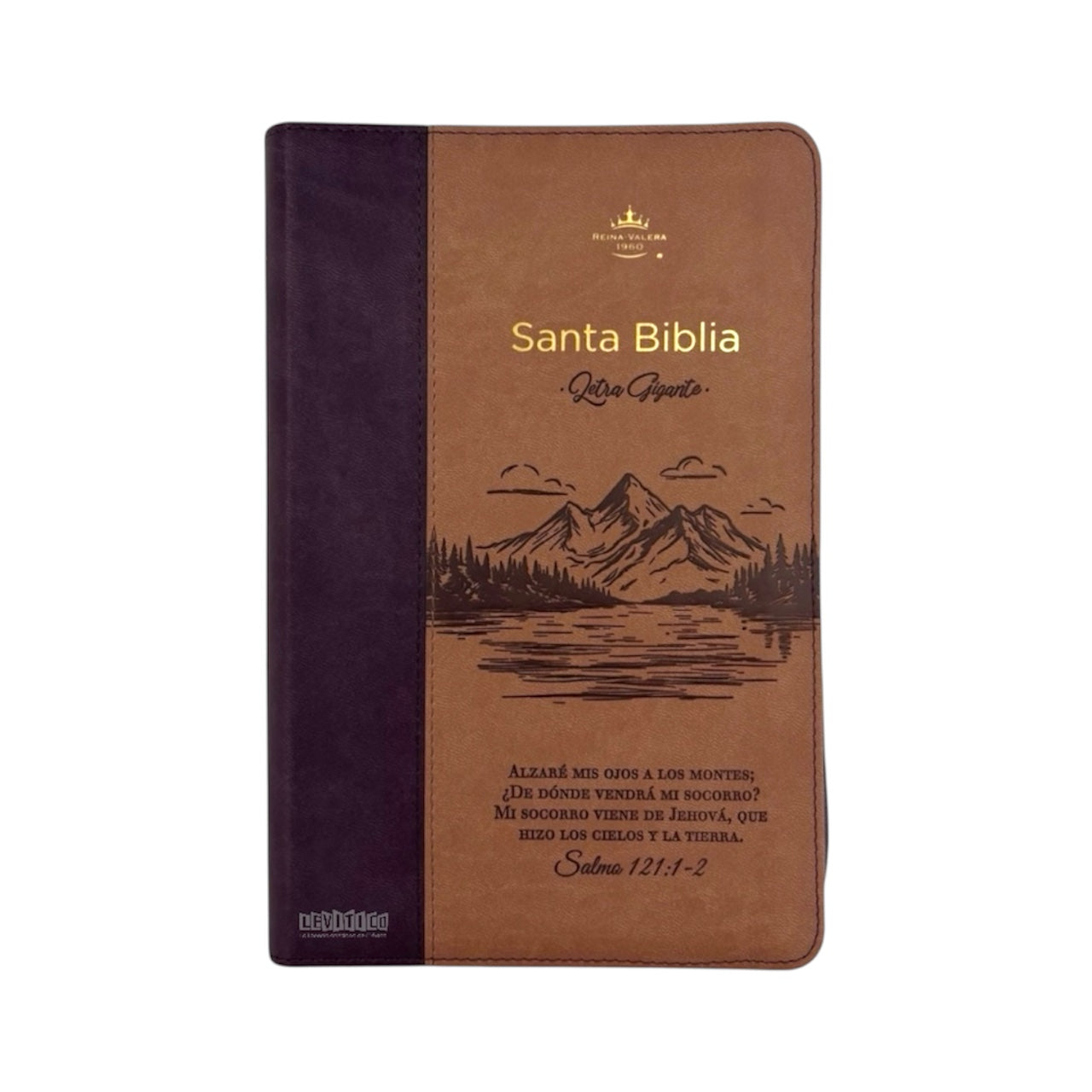 BIBLIA RVR 1960 LETRA GIGANTE TAMAÑO MANUAL CAFE/CAFE CIERRE MONTES
