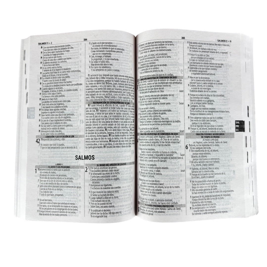 Biblia Economica 500 Razones Rv 1960