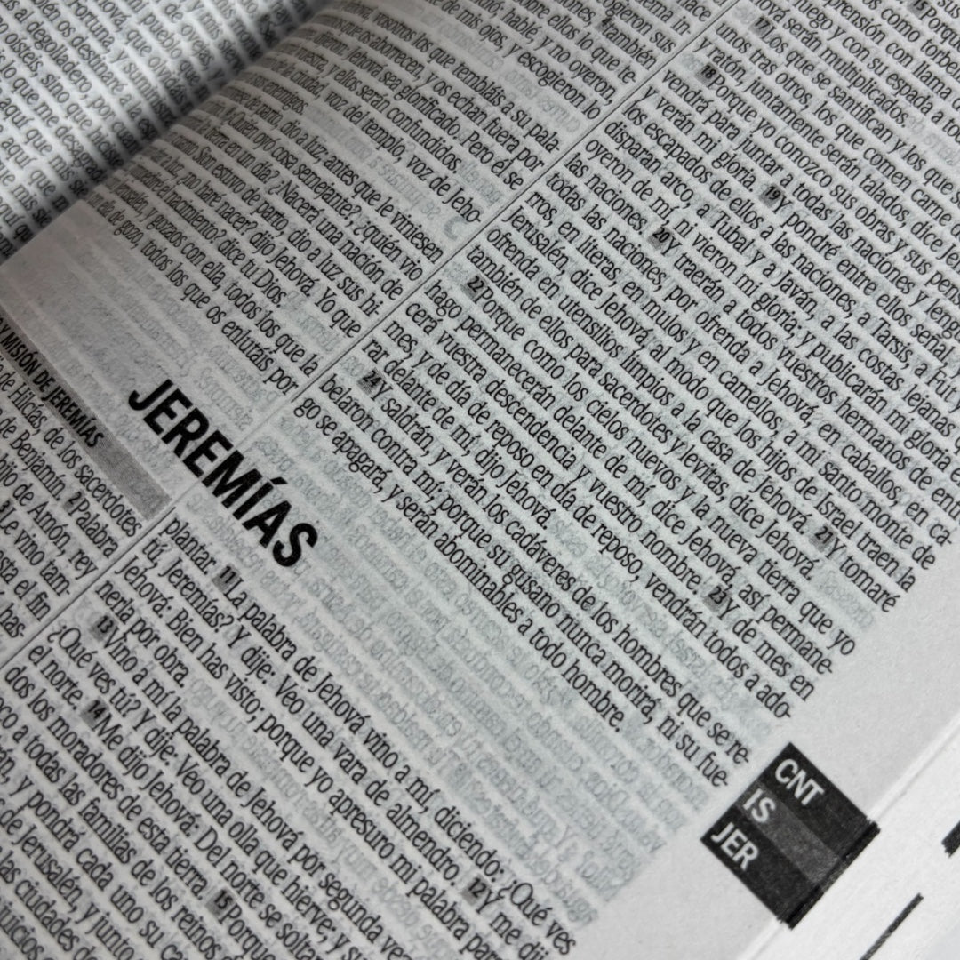 Biblia Economica 500 Razones Rv 1960