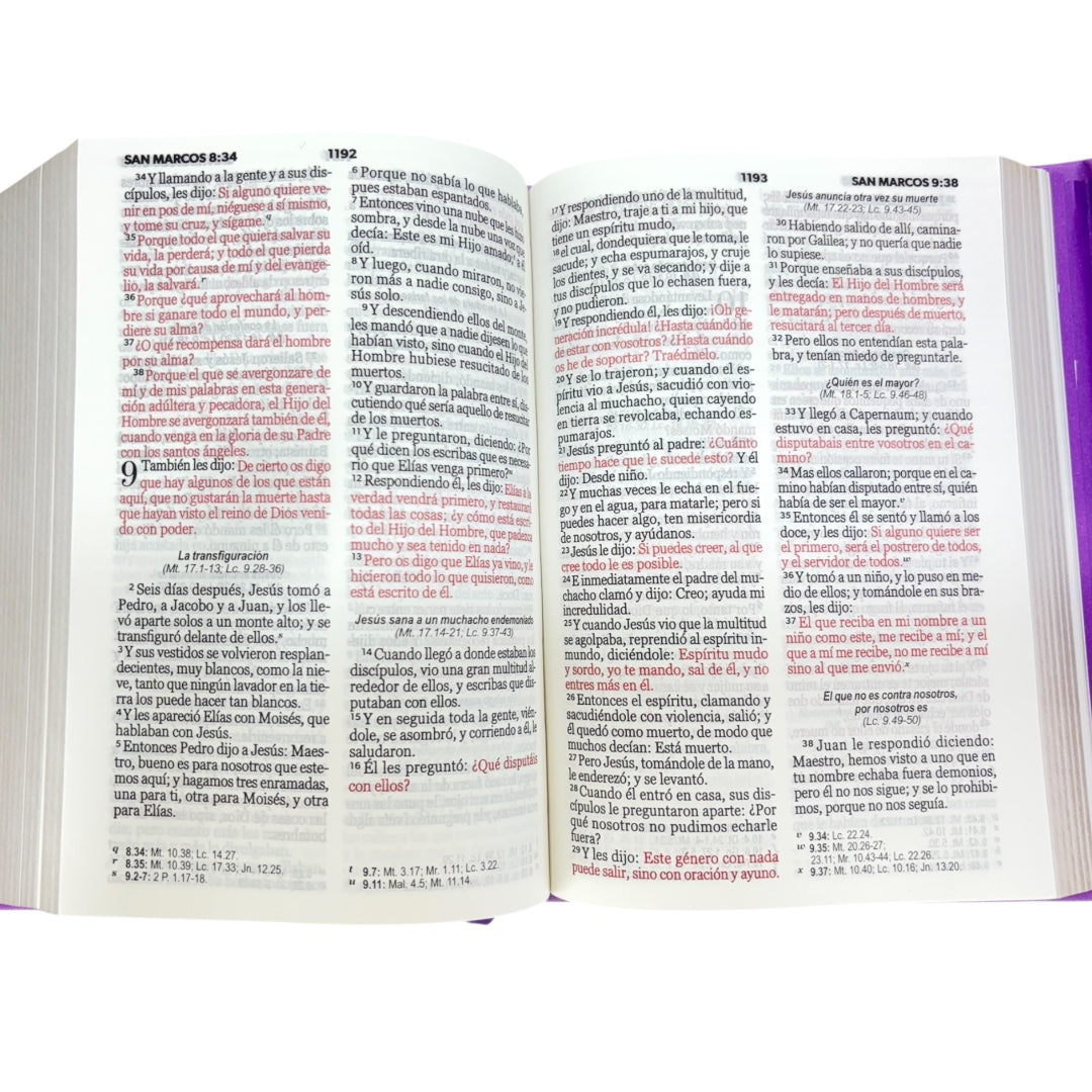 Santa Biblia Cartera con Broche Magnético Compacta RV1960 Morado