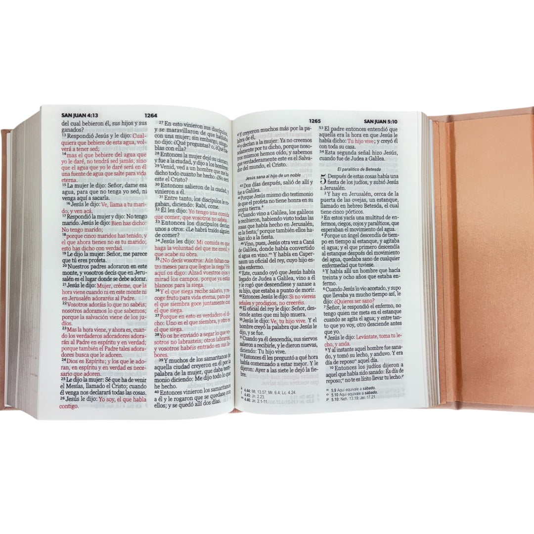 Santa Biblia Cartera con Broche Magnético Compacta RV1960 Rosa Claro