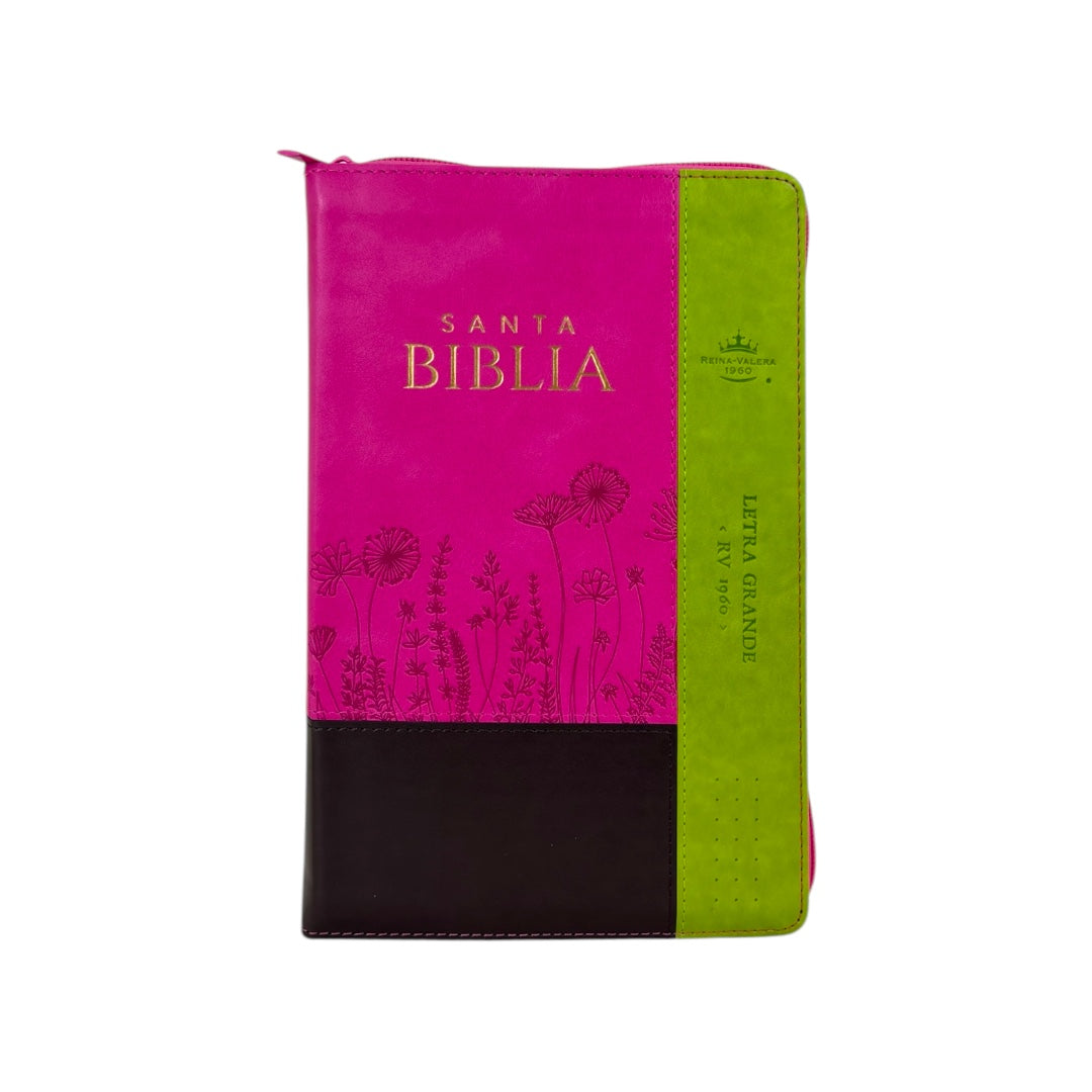 BIBLIA REINA VALERA 1960 LETRA GRANDE INSPIRACION FLORES LIMA/FUCSIA