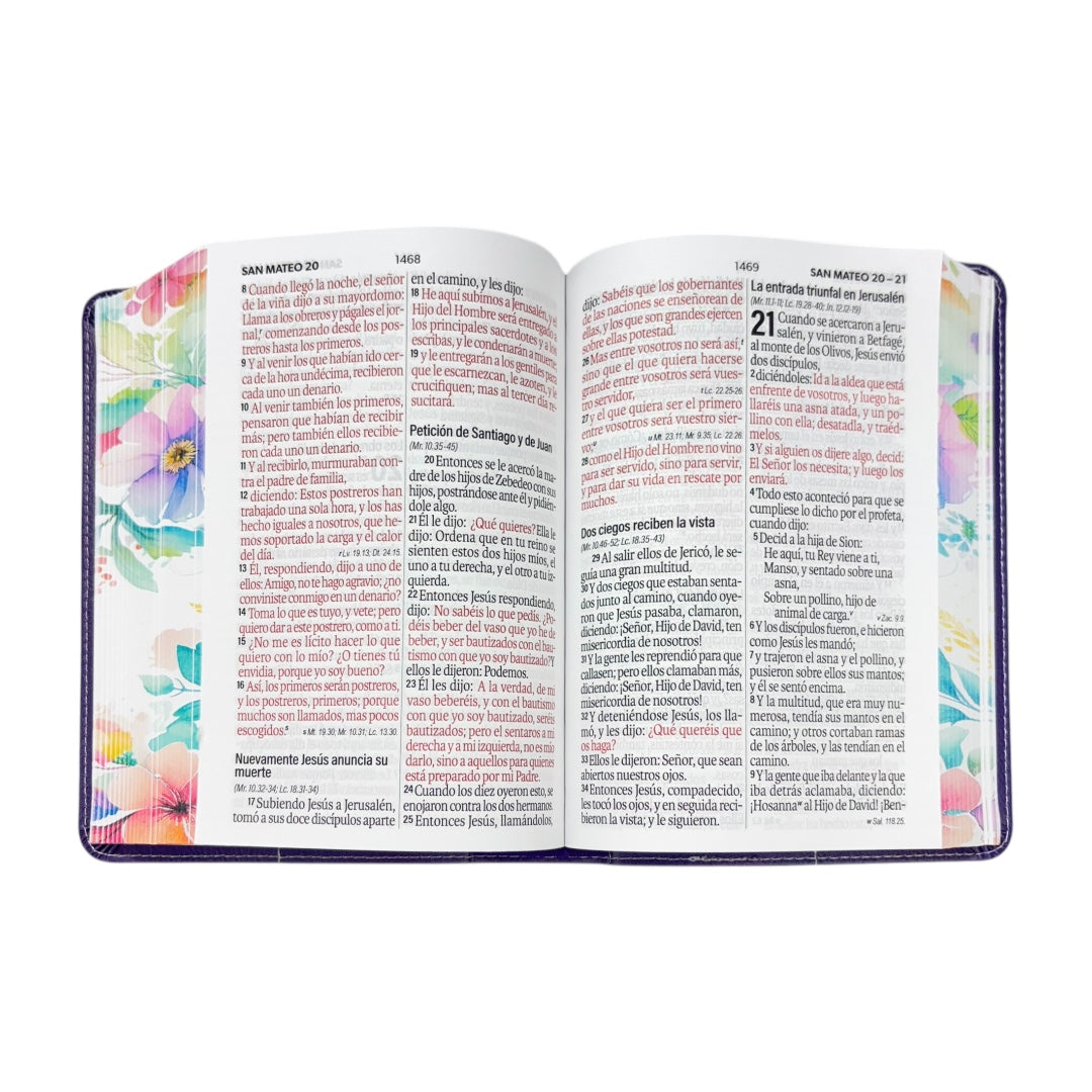 BIBLIA REINA VALERA 1960 COMPACTA IMITACION PIEL DE ALTA CALIDAD C/ CANTO PINTADO FLORES