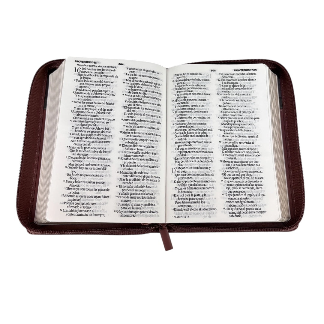 BIBLIA REINA VALERA TAMAÑO COMPACTO LETRA GRANDE IMITACION PIEL C/CIERRE TRICOLORES