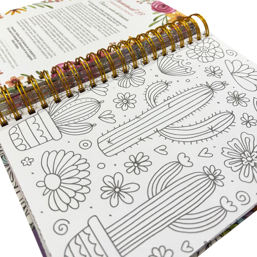 100 devocionales para colorear: De Mujer a mujer Levítico