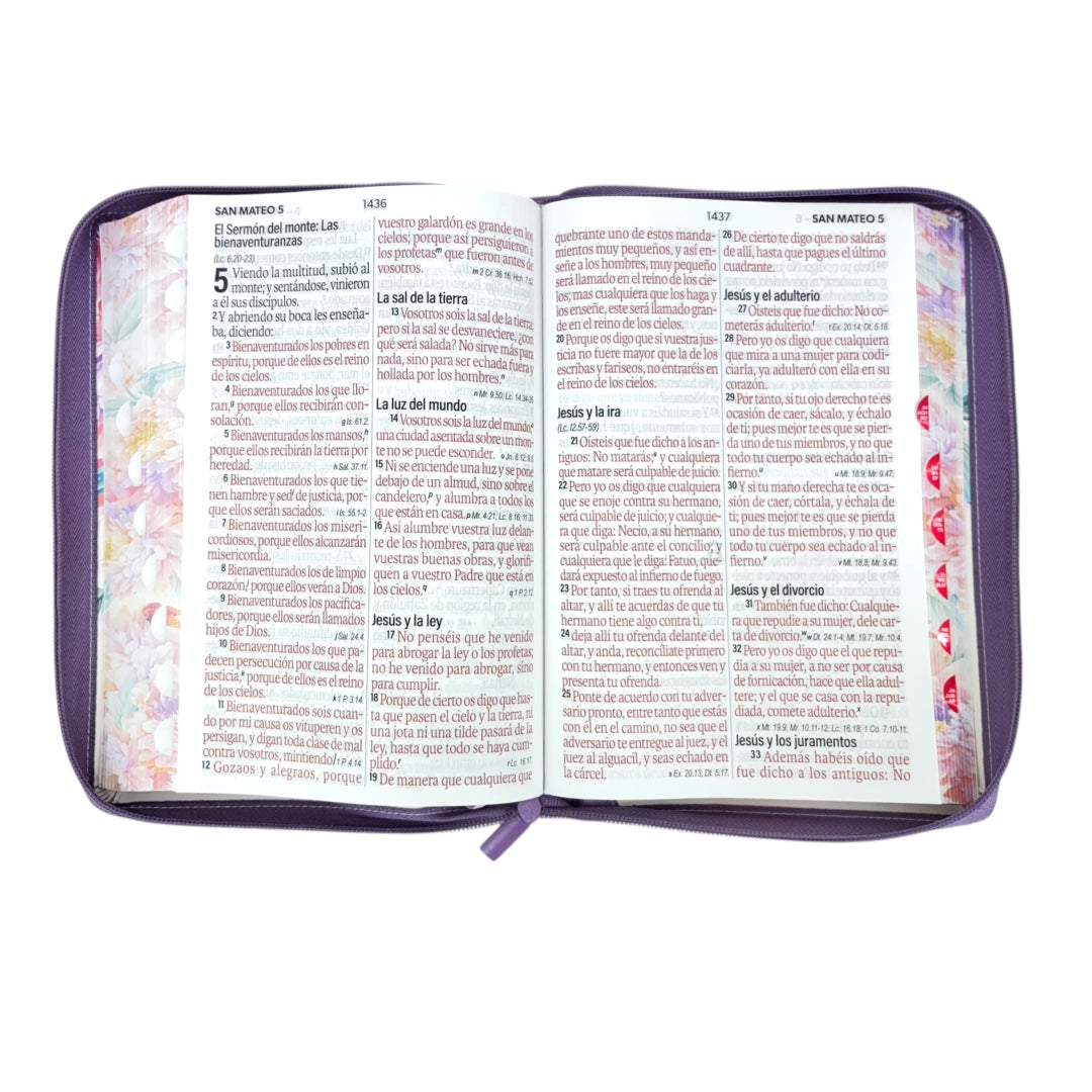 BIBLIA REINA VALERA 1960 SÚPER GIGANTE JARDIN CANTO PINTADO C/CIERRE INDICE IMIT PIEL DE ALTA CALIDAD