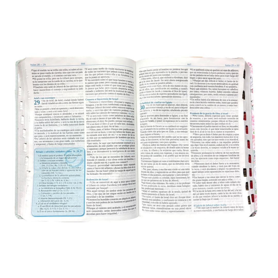 BIBLIA DE ESTUDIO PARA LA PREDICACION REINA VALERA 1960 AQUA FLORES