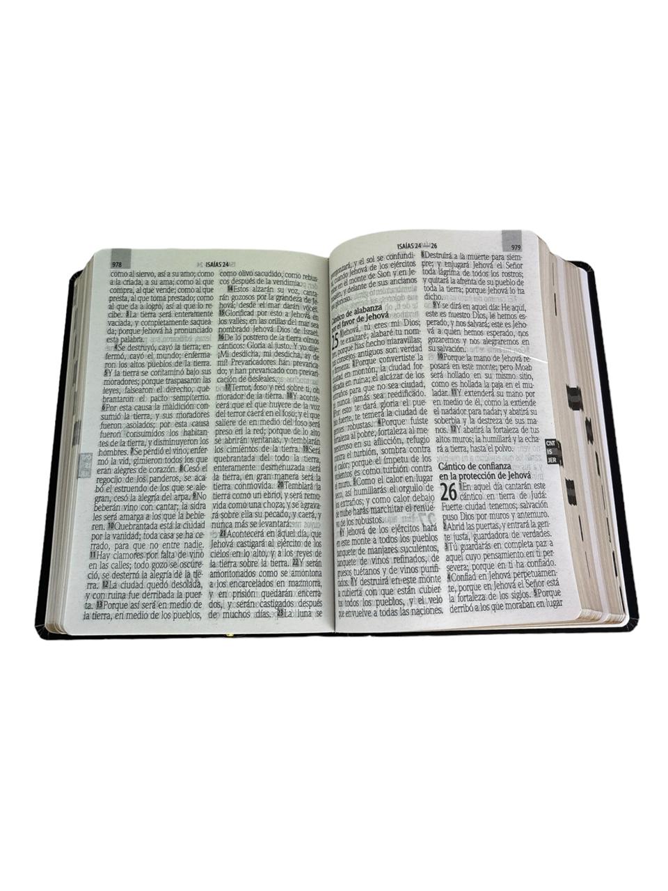BIBLIA REINA VALERA 1960 LETRA GIGANTE TAPA SEMIFLEXIBLE NEGRO