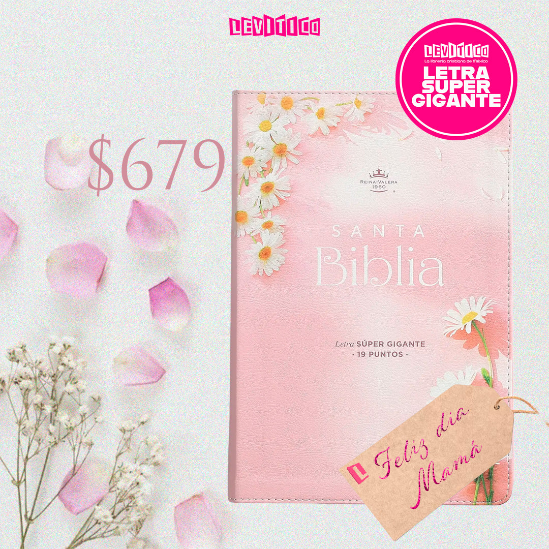 BIBLIA LETRA SÚPER GIGANTE REINA VALERA 1960 MUJER VIRTUOSA CANTO PINTADO ROSA