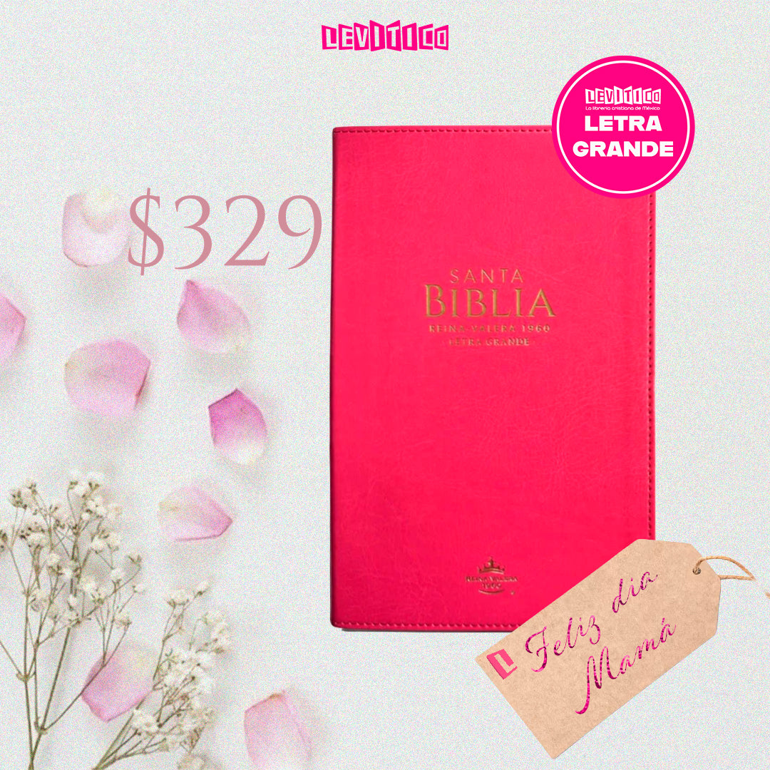 BIBLIA REINA VALERA 1960 LETRA GRANDE IMITACION PIEL CLASICA FUCSIA