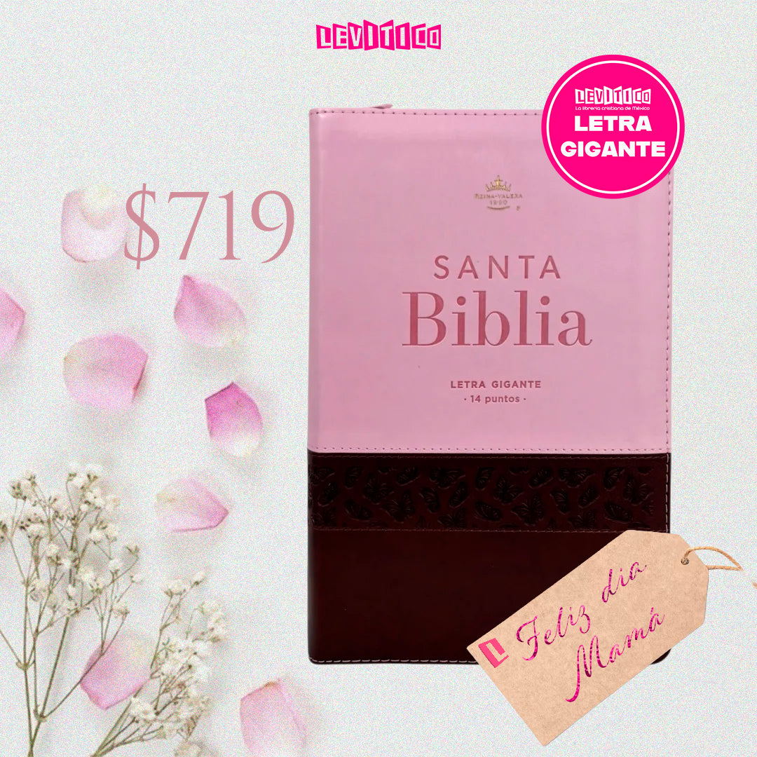 BIBLIA REINA VALERA 1960 LETRA GIGANTE CANTO DORADO CAFE/ROSA MARIPOSAS