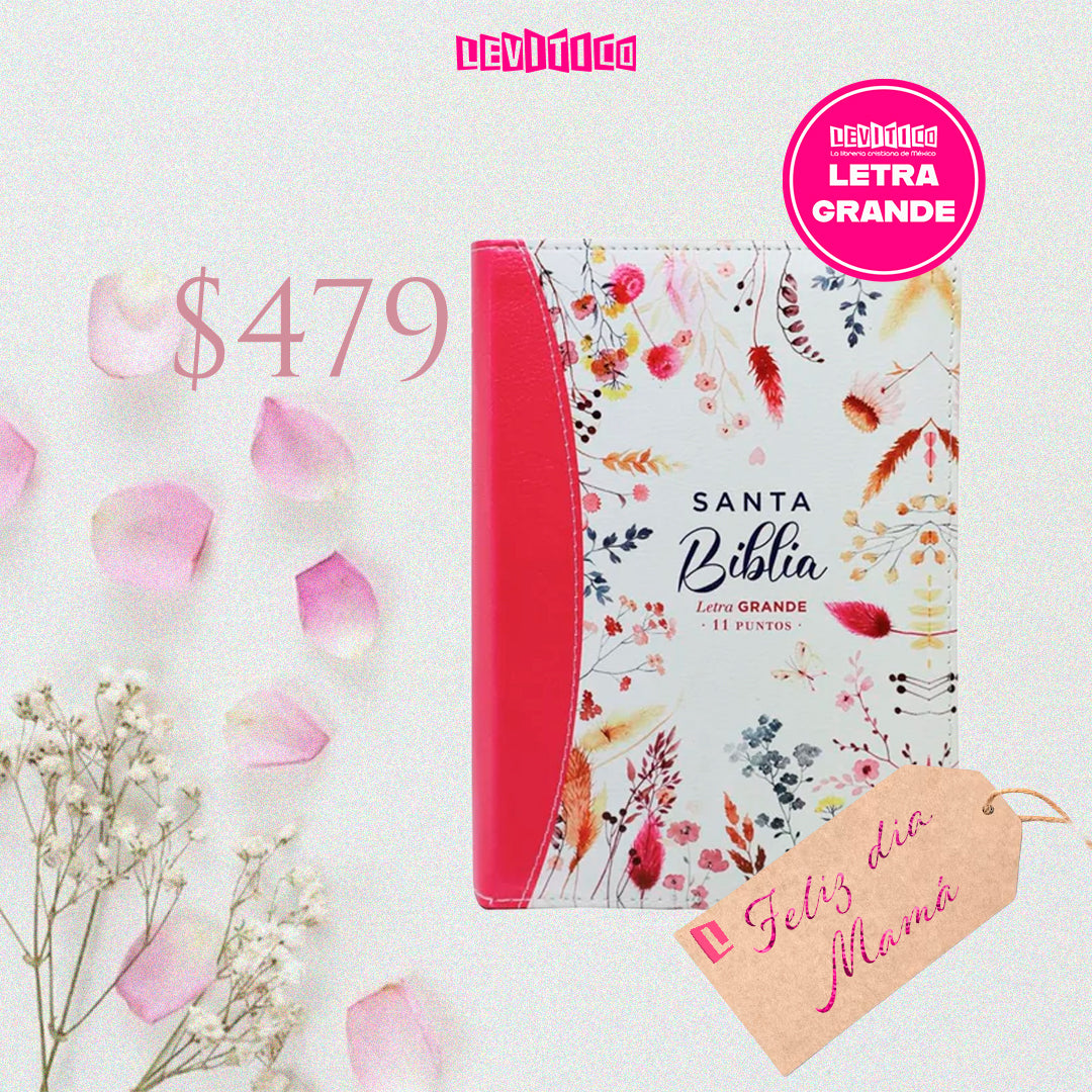 BIBLIA REINA VALERA 1960 LETRA GRANDE COMPACTA CIERRE CANTO PINTADO primaveral fucsia