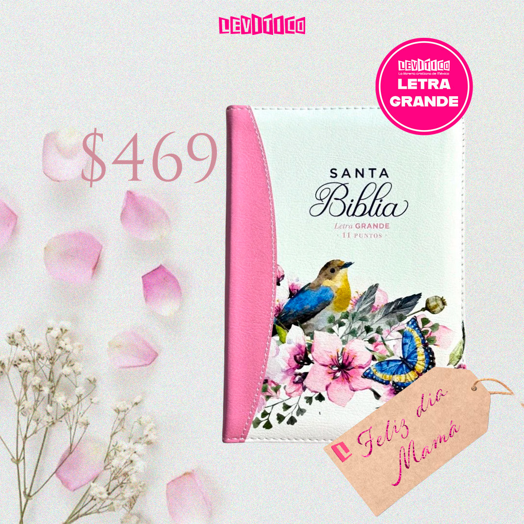 BIBLIA REINA VALERA 1960 COMPACTA PRIMAVERA C/ CIERRE ROSA