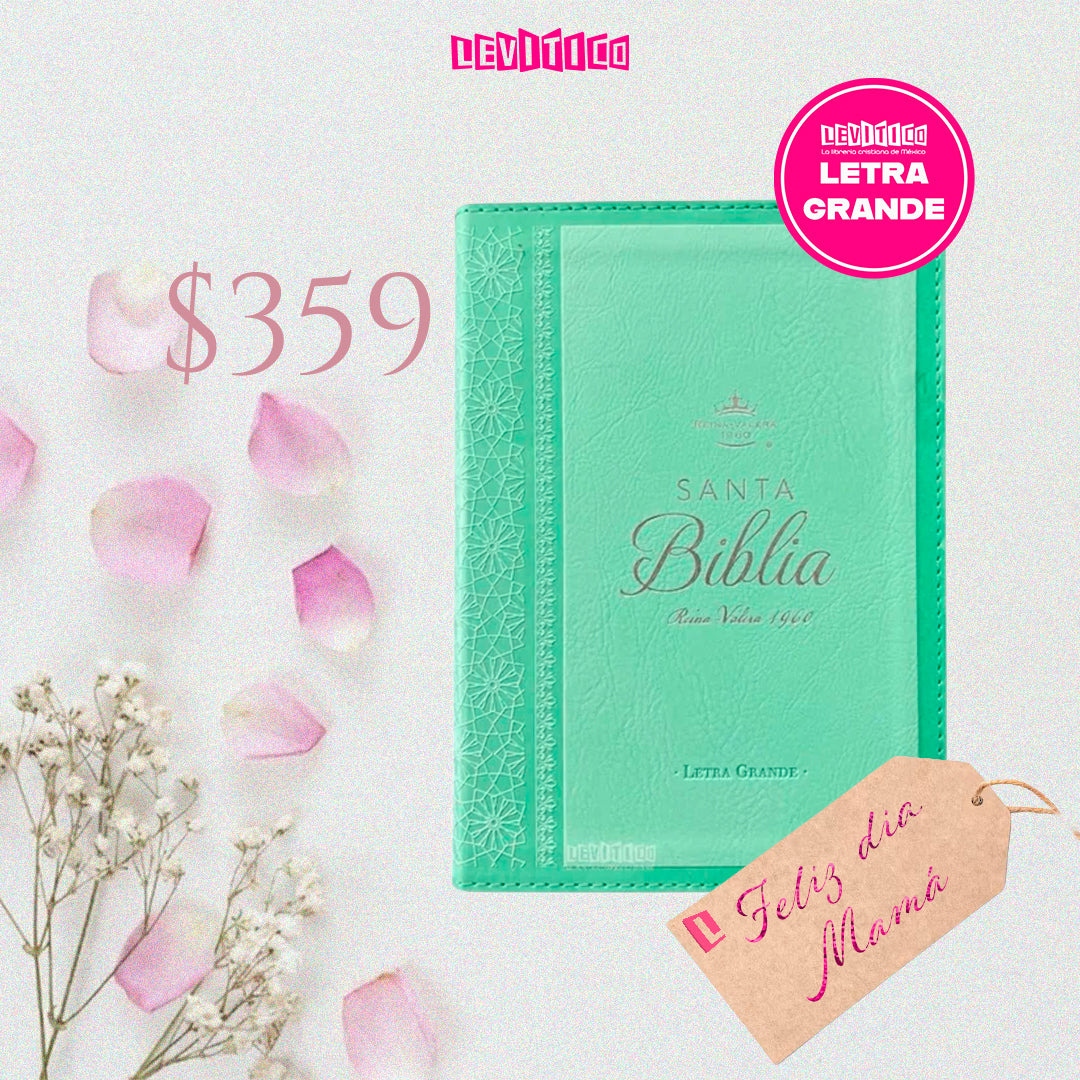 Biblia Reina Valera 1960 compacta letra grande imitacion piel neoclassic TURQUESA