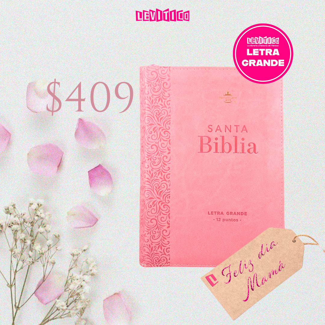 BIBLIA REINA VALERA 1960 LETRA GRANDE COMPACTA/ CIERRE IMITACION PIEL ROSA