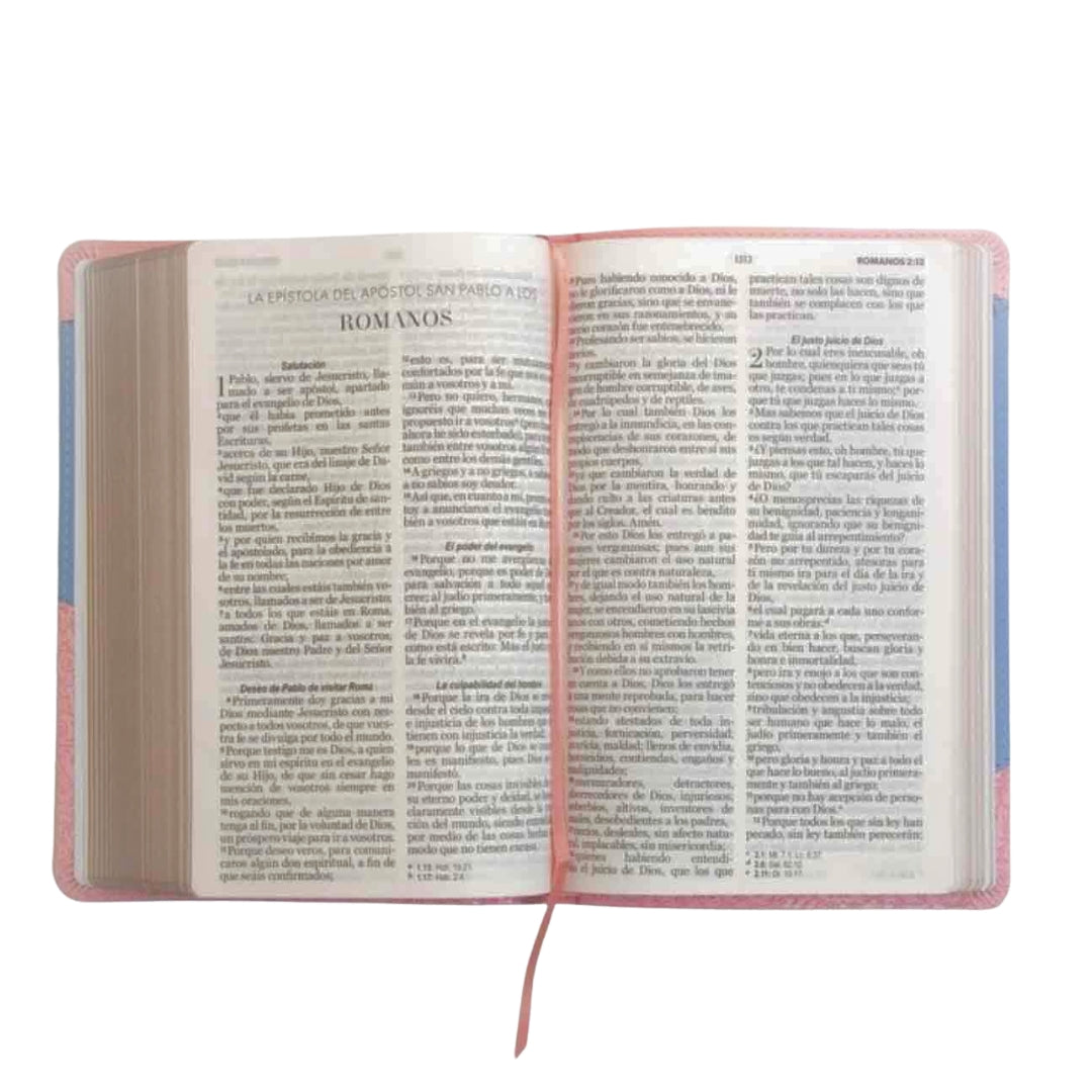 Biblia Rv1960 Letra Grande Símil Piel Rosa Floral/celeste