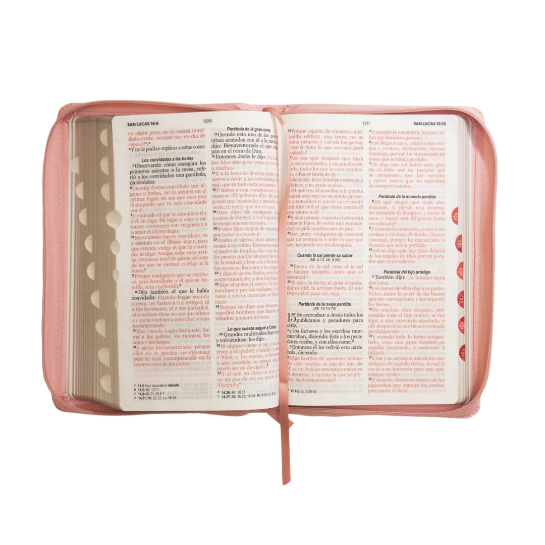 BIBLIA REINA VALERA 1960 LETRA GRANDE CLASICA ROSA C/CIERRE INDICE