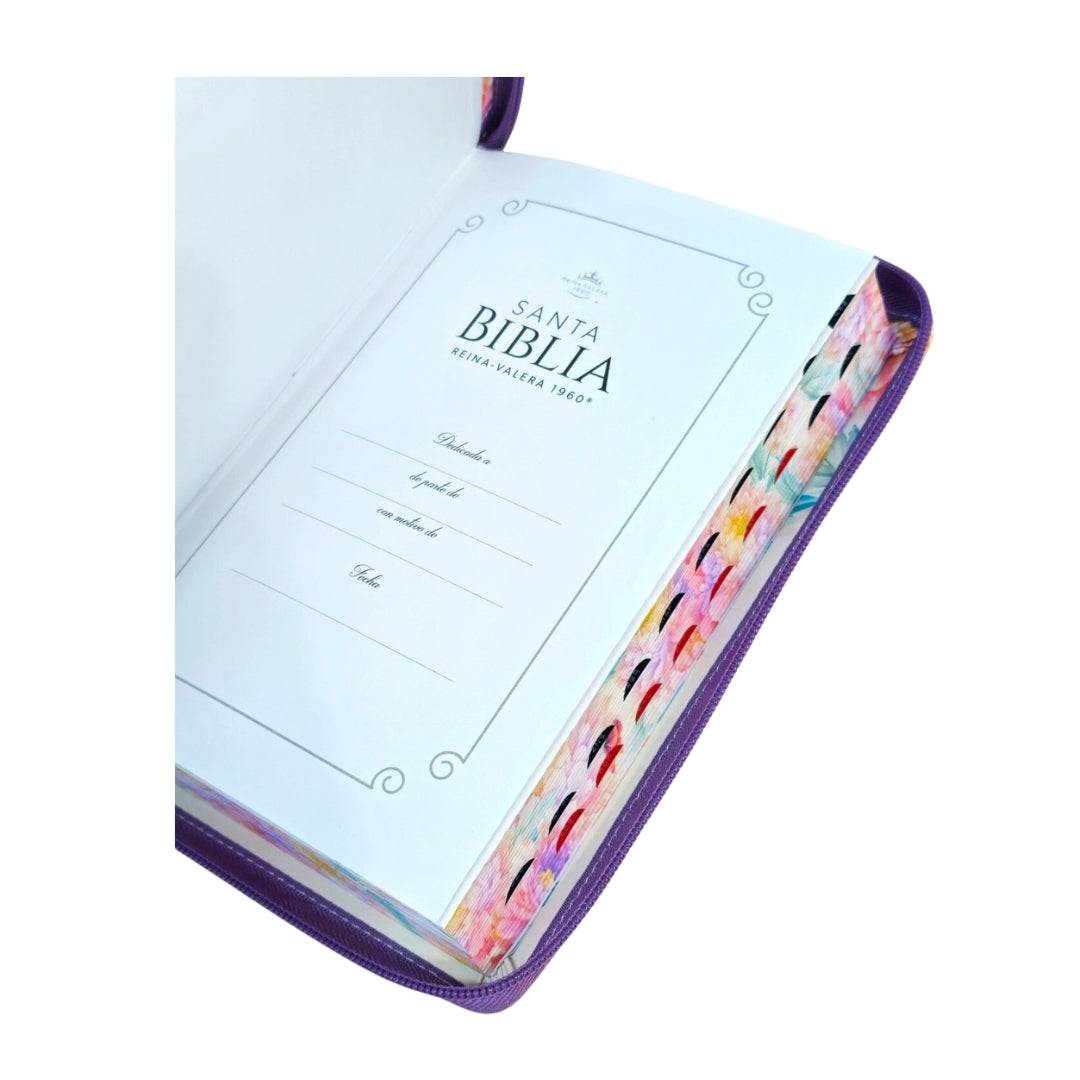 Biblia con Cierre Letra Grande 12 puntos para Mujer RV1960 lila con indice