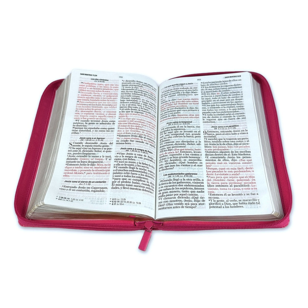 Biblia Letra Grande Reina Valera 1960 Fucsia C/Cierre