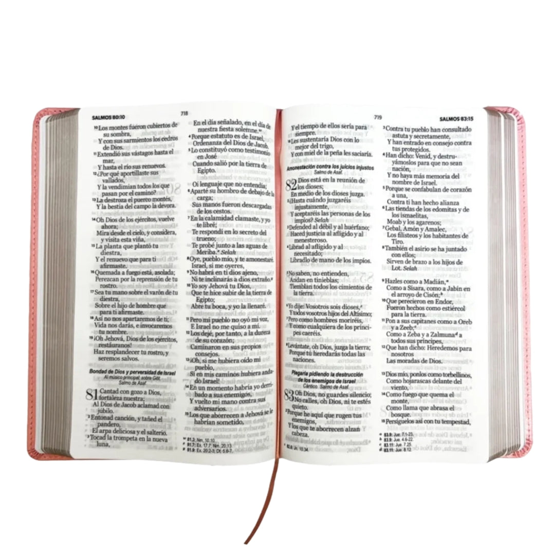 BIBLIA REINA VALERA 1960 LETRA GRANDE CLASICA ROSA CLARO