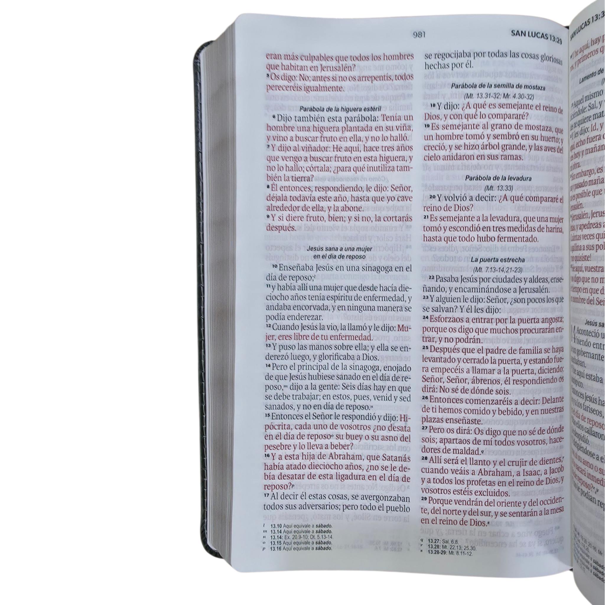 Biblia Reina Valera 1960 Letra grande con Solapa Levítico