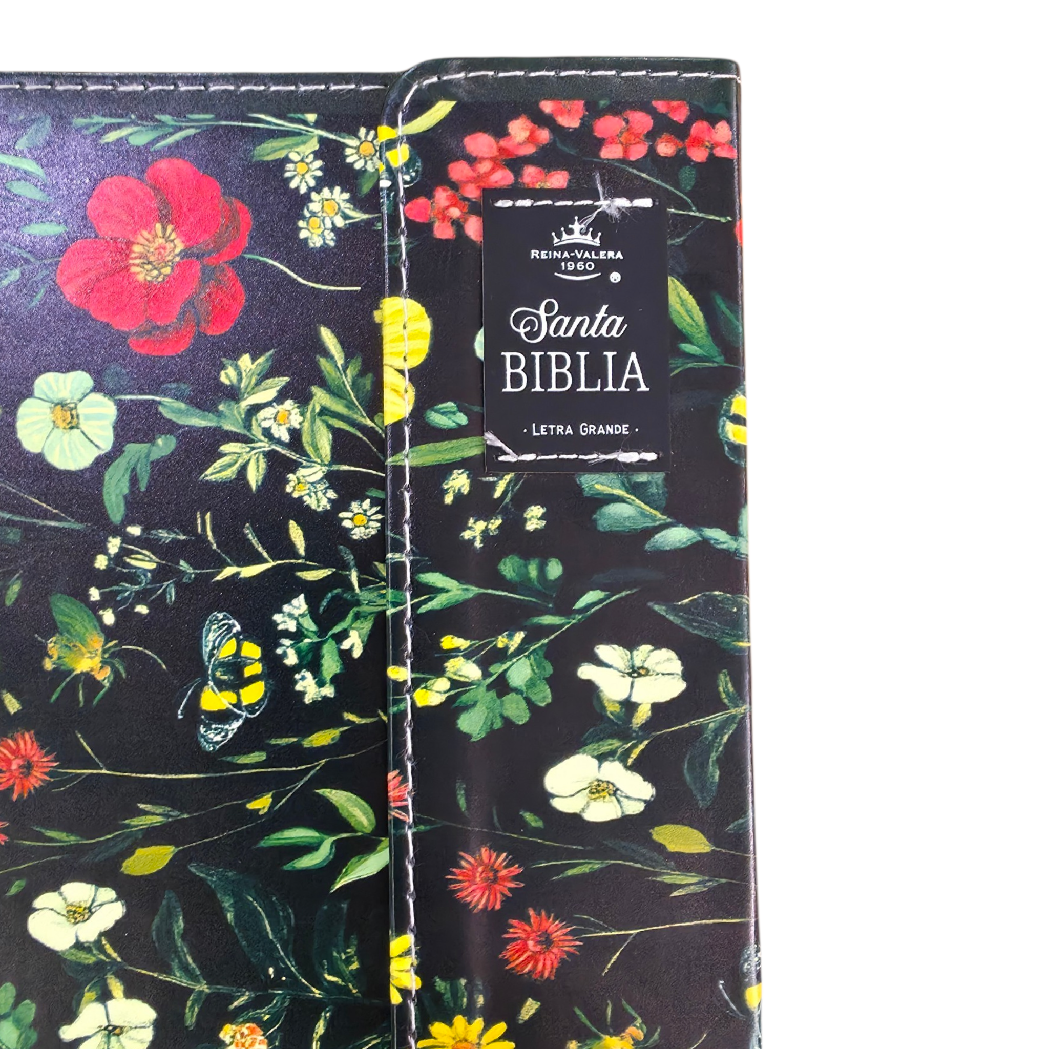 Biblia Reina Valera 1960 Letra grande con Solapa Levítico